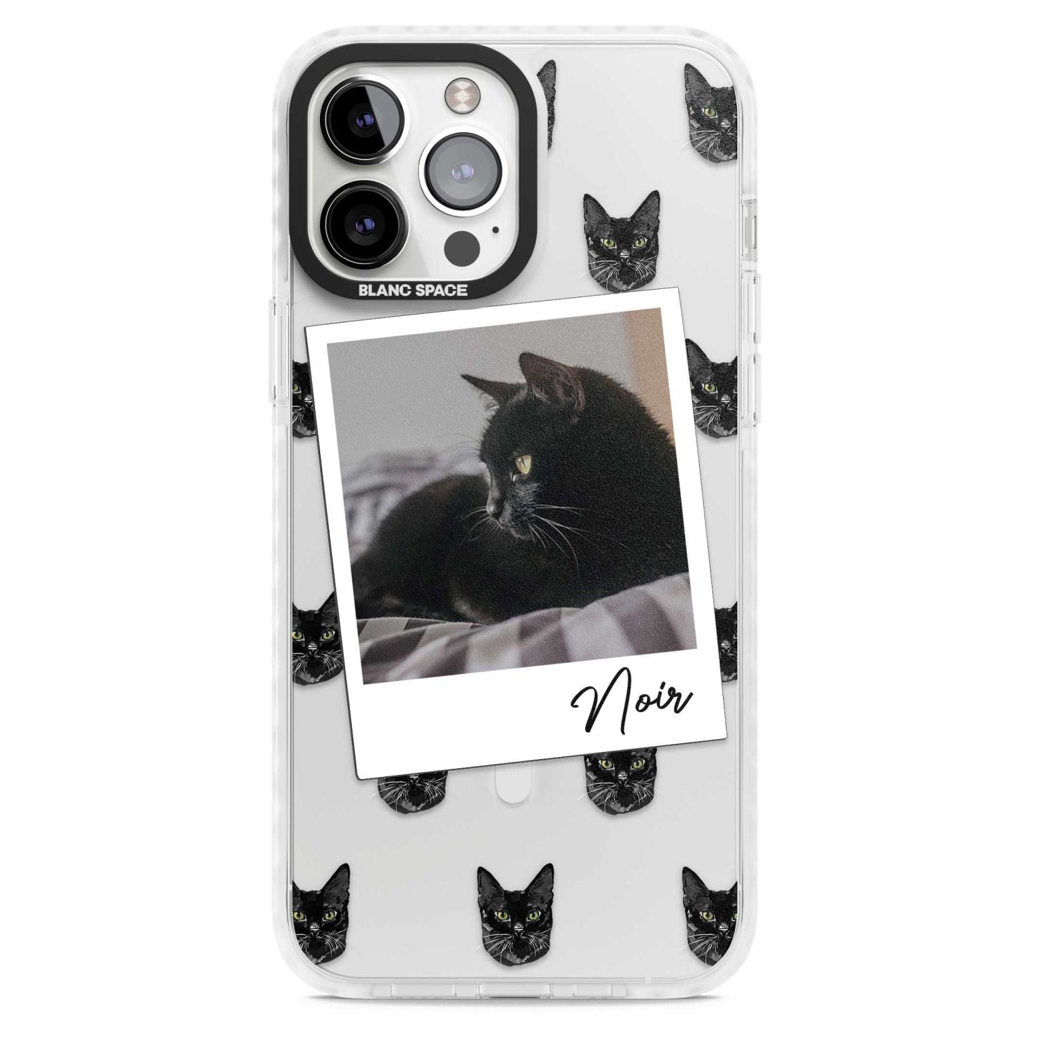 Personalised Bombay Cat Photo