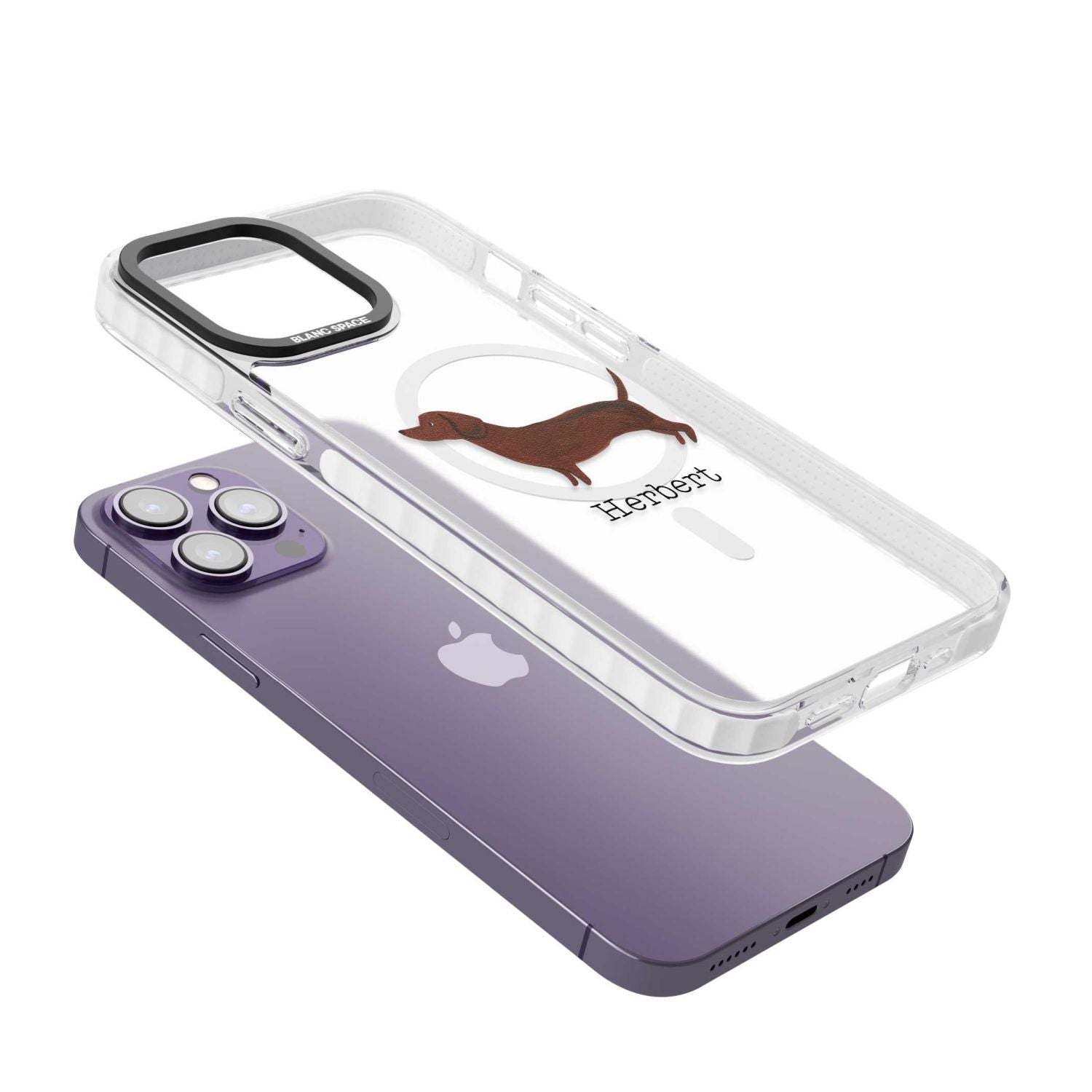 Personalised Sausage Dog