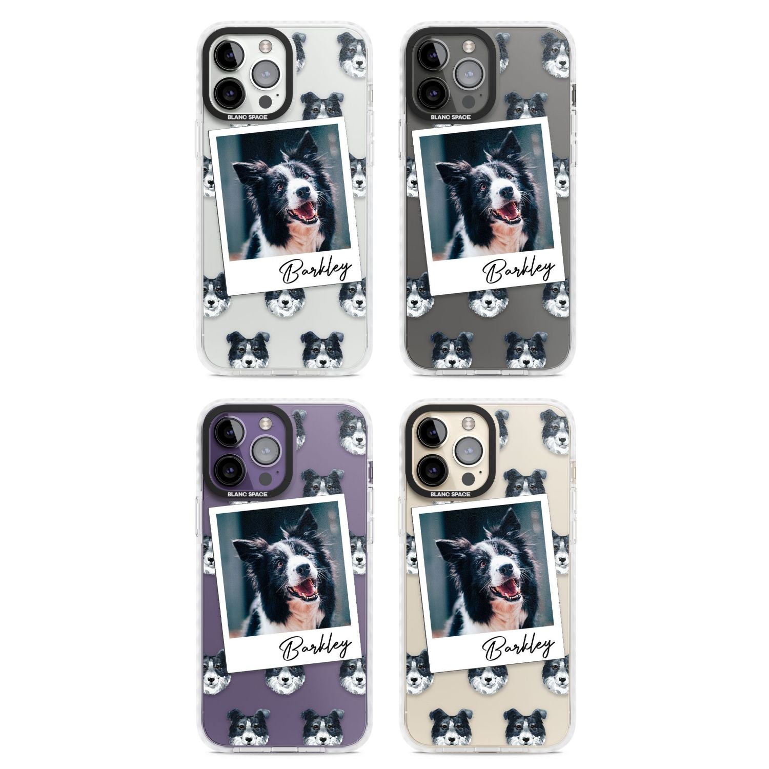 Personalised Border Collie Instant Camera Photo