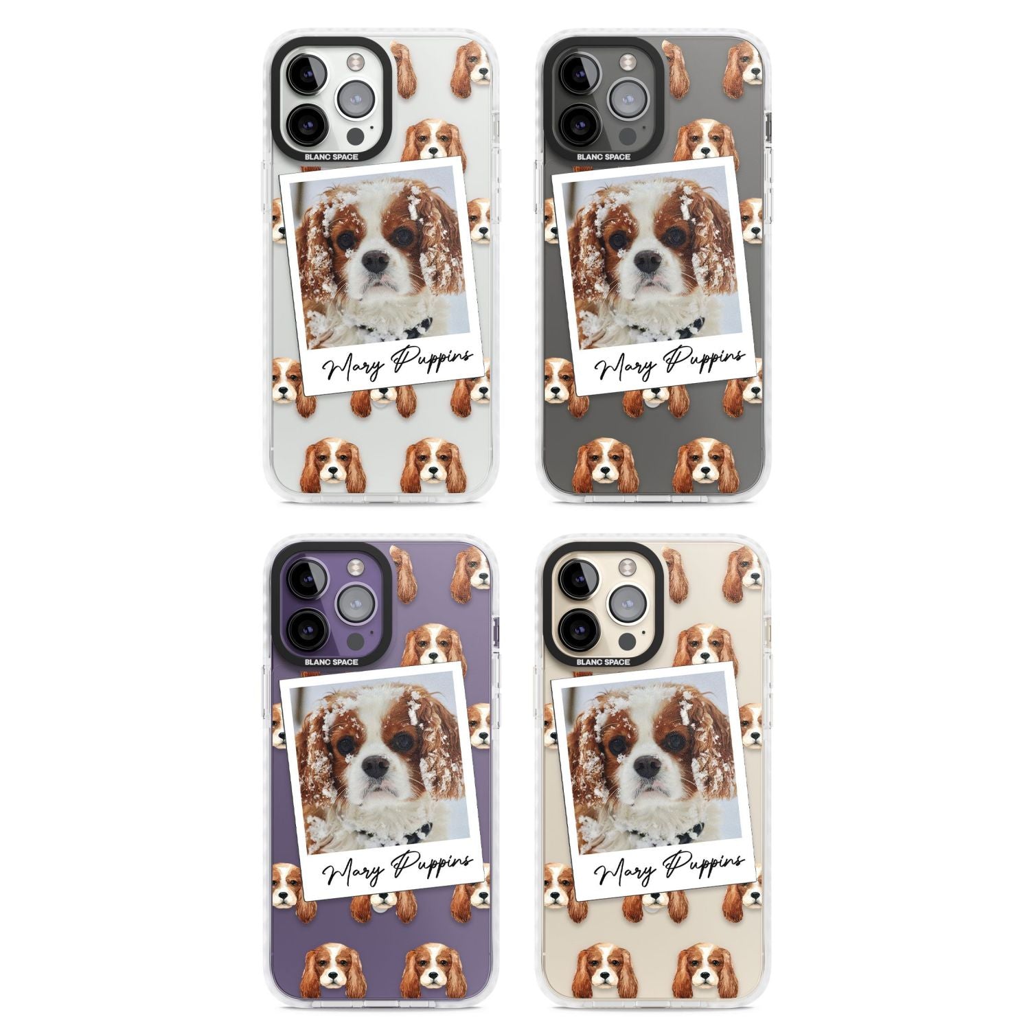 Personalised Cavalier King Charles Instant Camera Photo