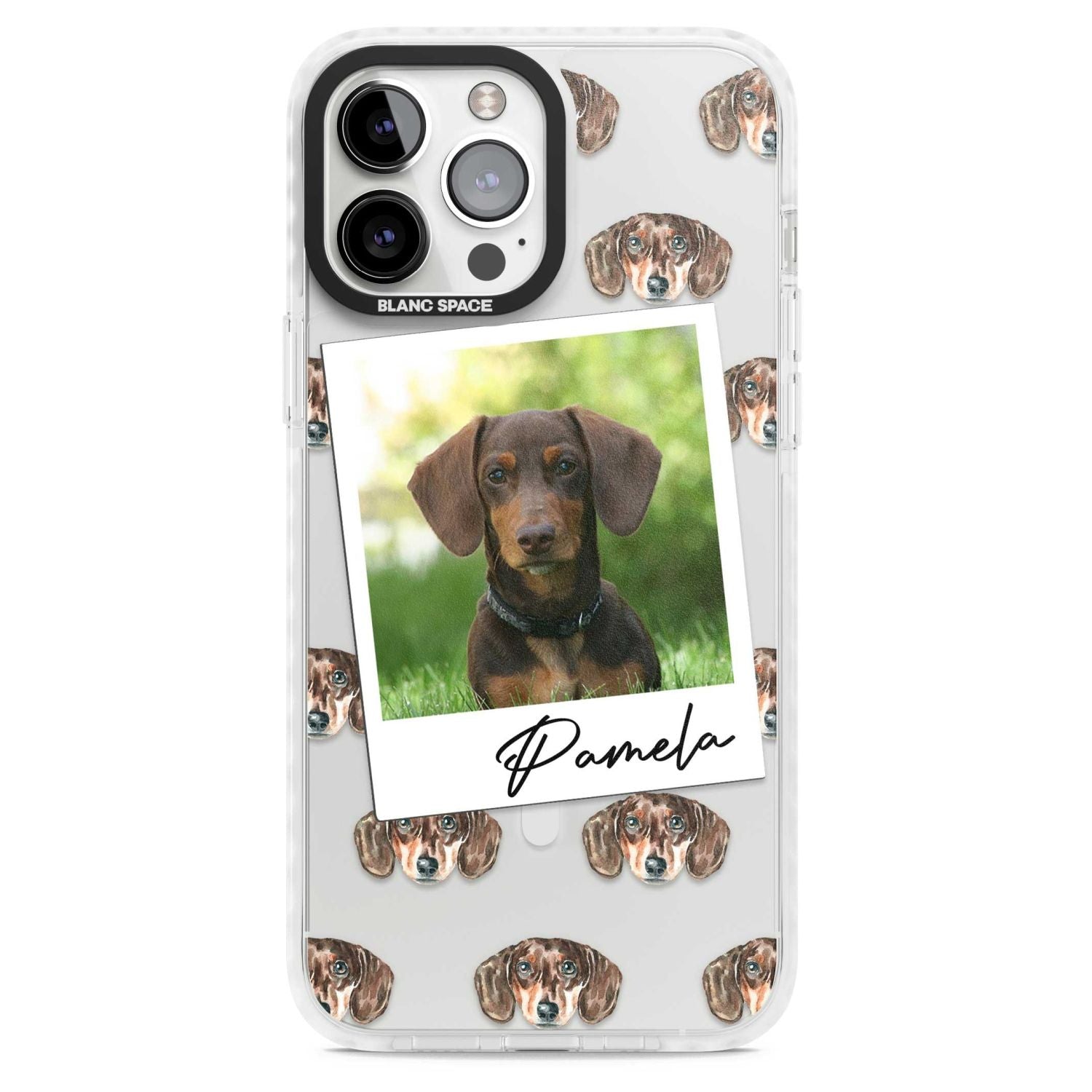 Personalised Brown Dachshund Instant Camera Photo