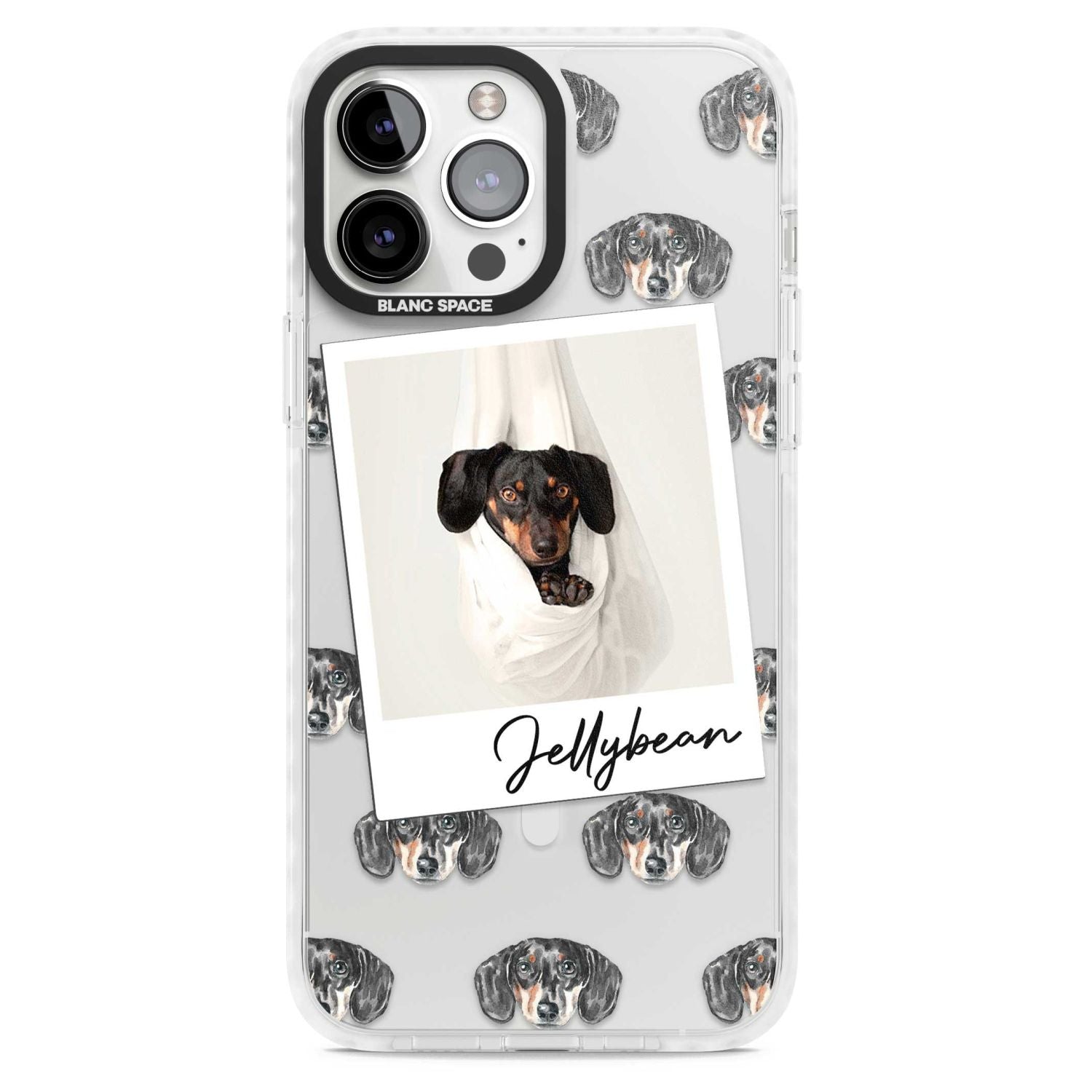 Personalised Black Dachshund Instant Camera Photo
