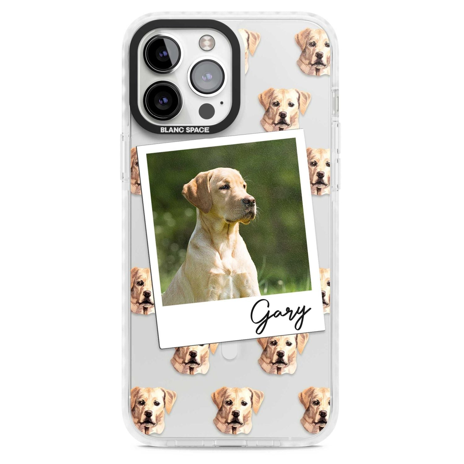 Personalised Tan Black Labrador Instant Camera Photo