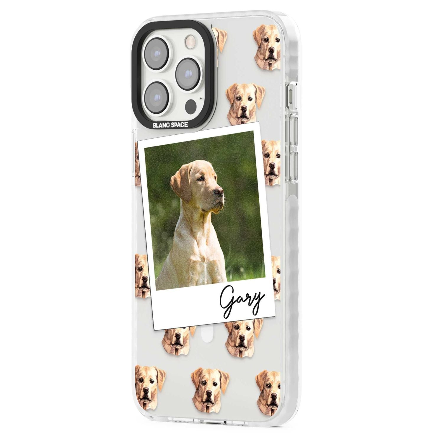 Personalised Tan Black Labrador Instant Camera Photo