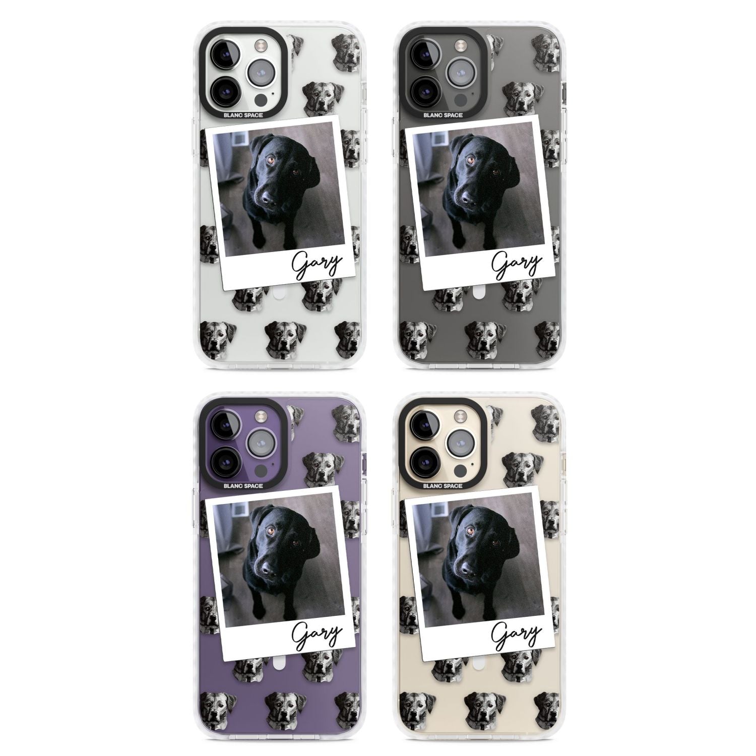 Personalised Black Labrador Instant Camera Photo