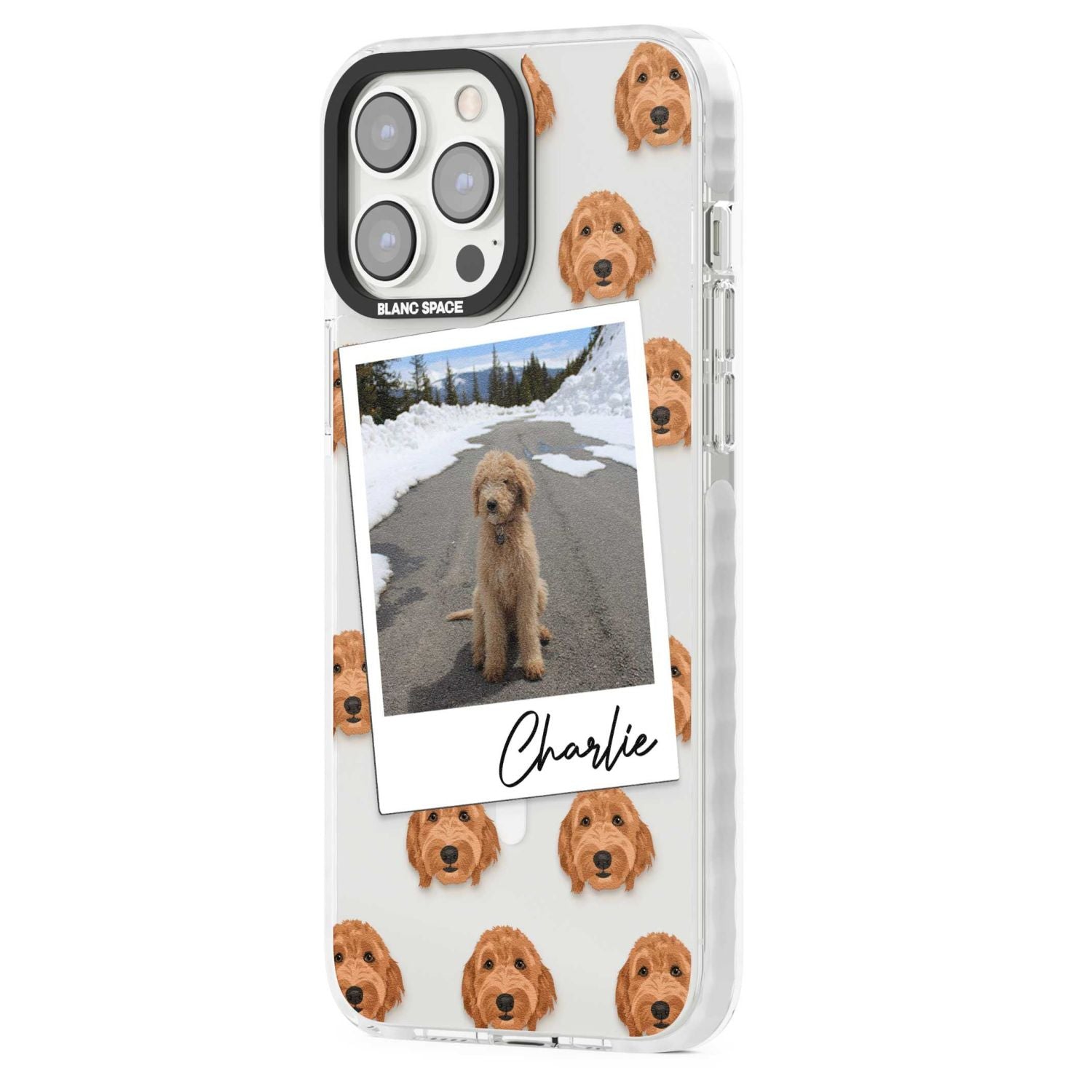 Personalised Golden Doodle Dog Photo