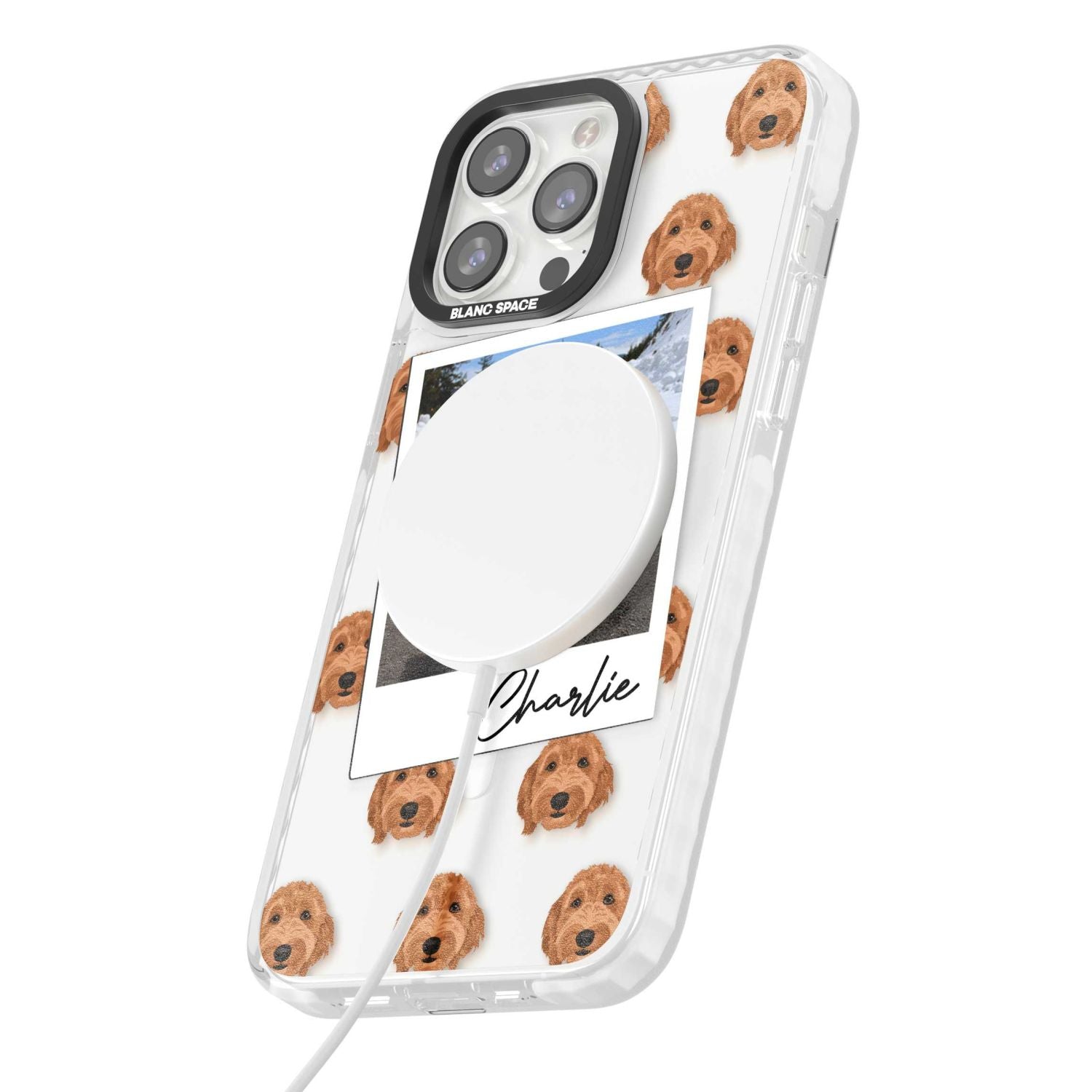 Personalised Golden Doodle Dog Photo