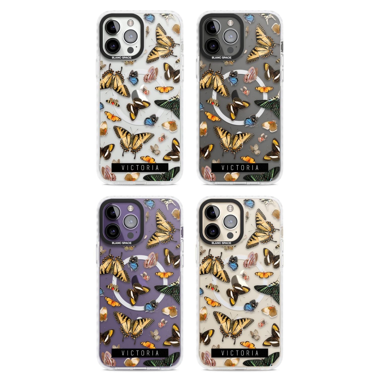 Personalised Butterfly Archive