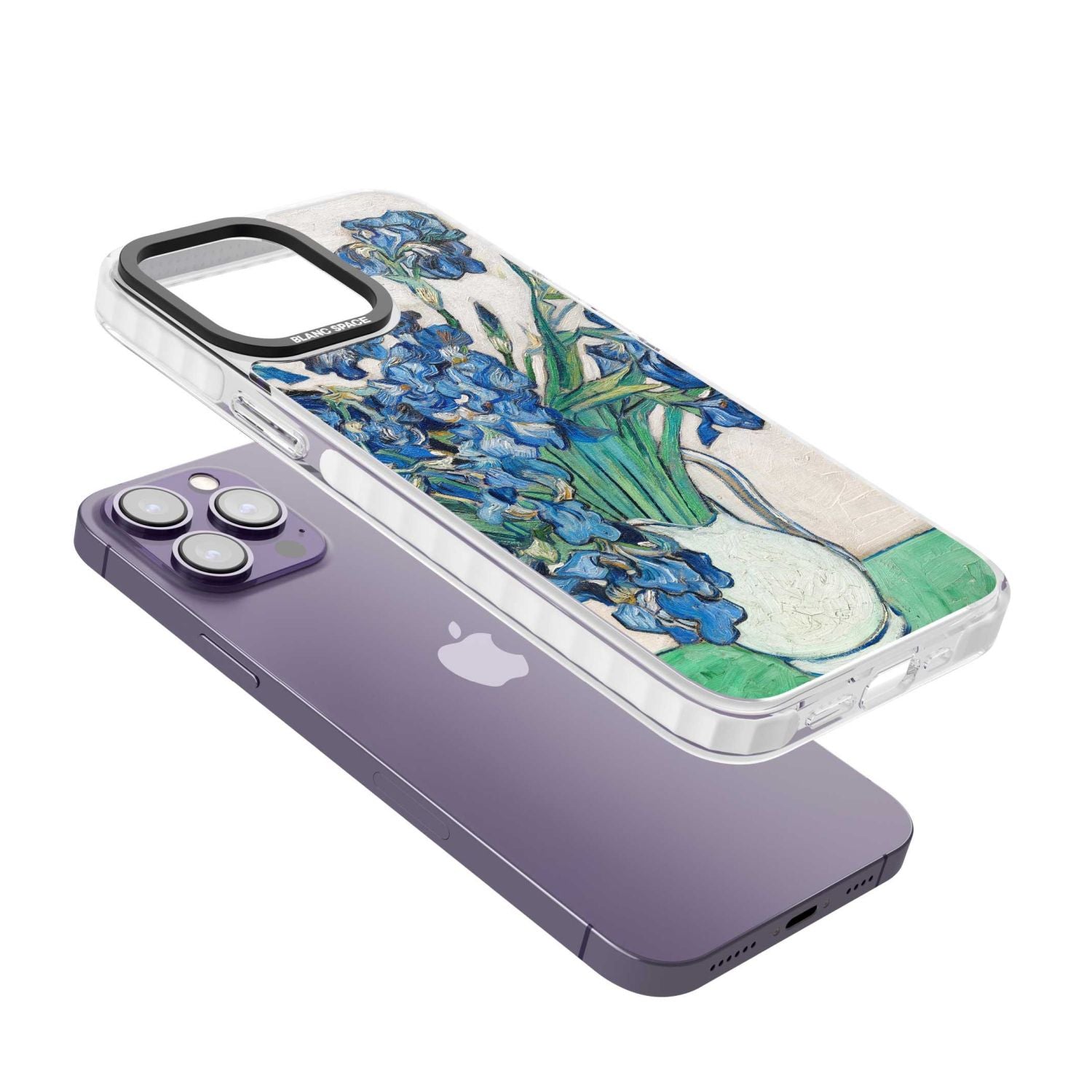 Irises By Vincent Van Gogh