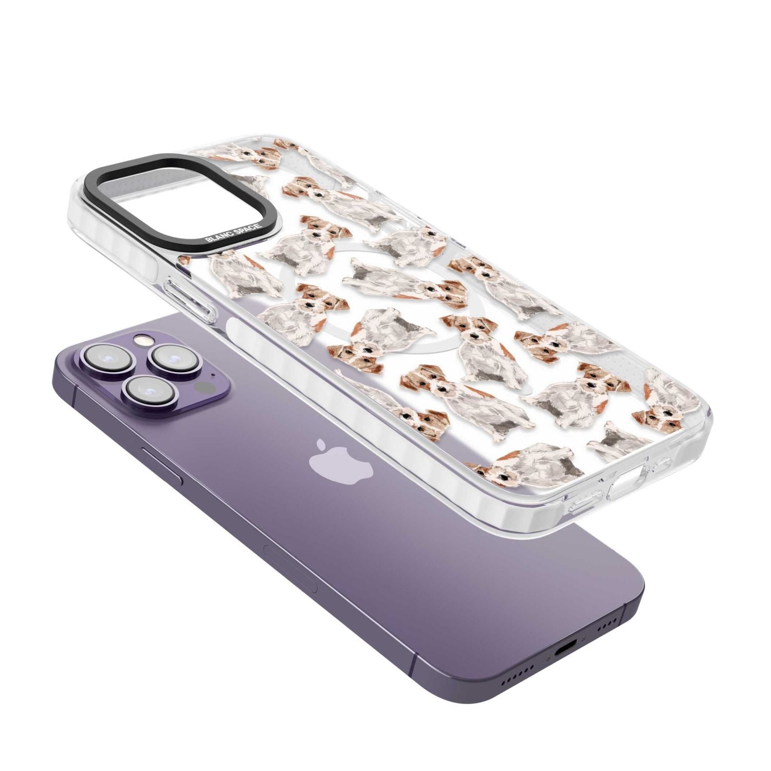 Whimsical Wirehaired Jack Russell