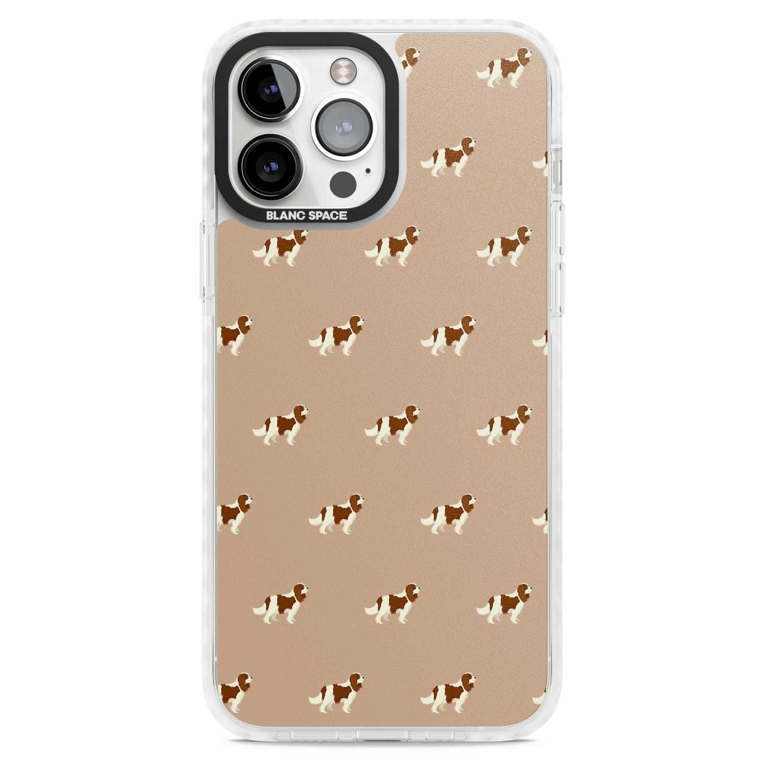 Cavalier Spaniel Pattern