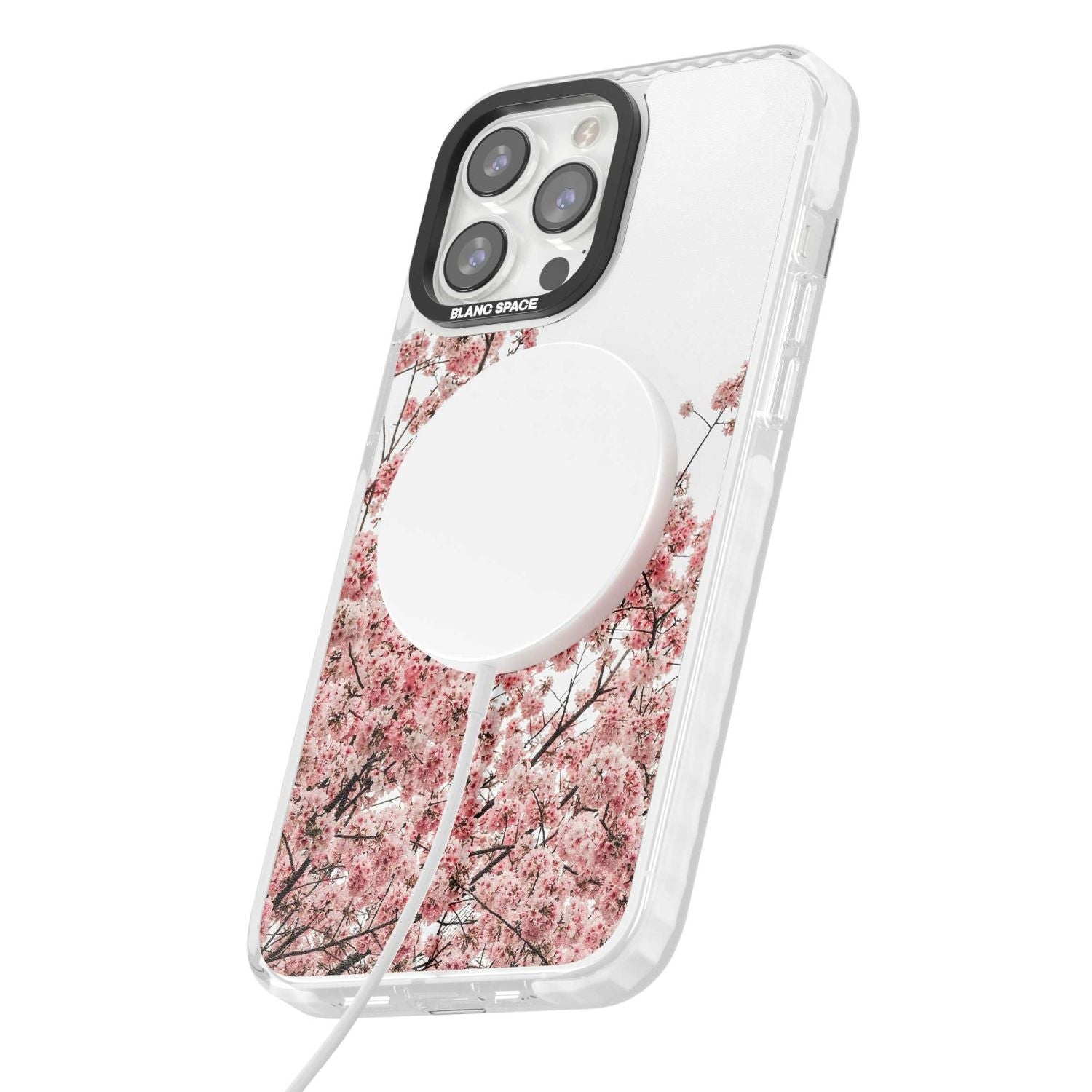 Cherry Blossom Bloom