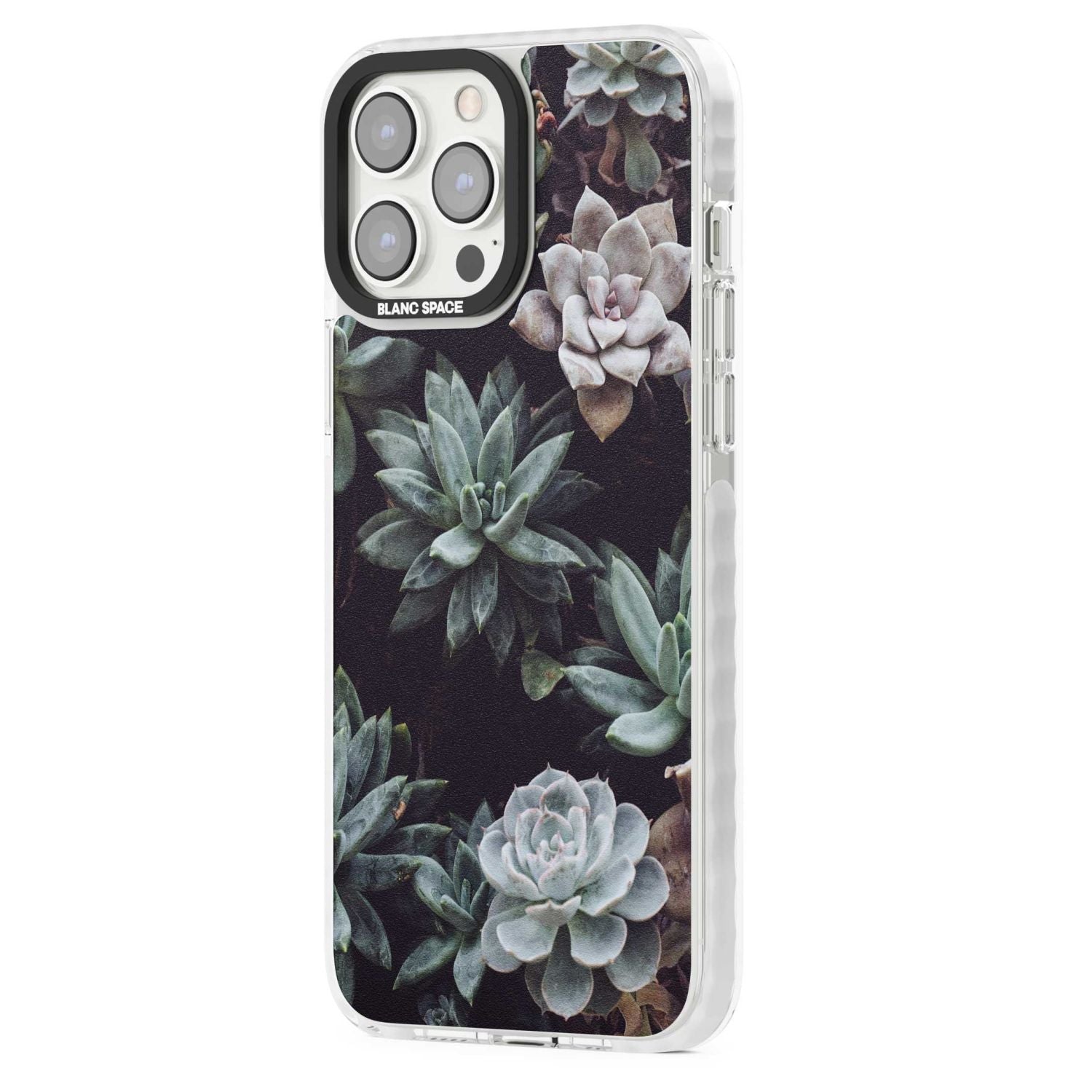 Succulent Bloom Mixed