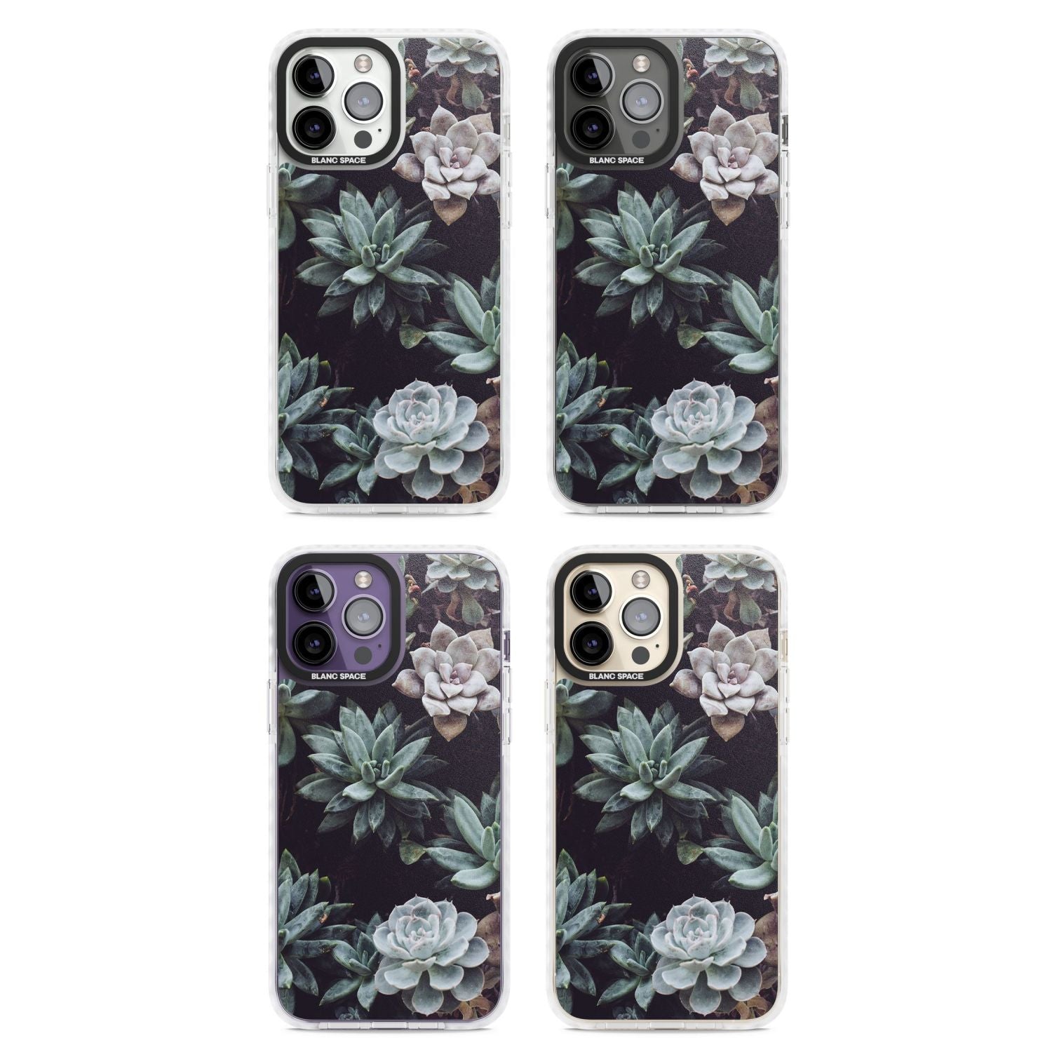 Succulent Bloom Mixed