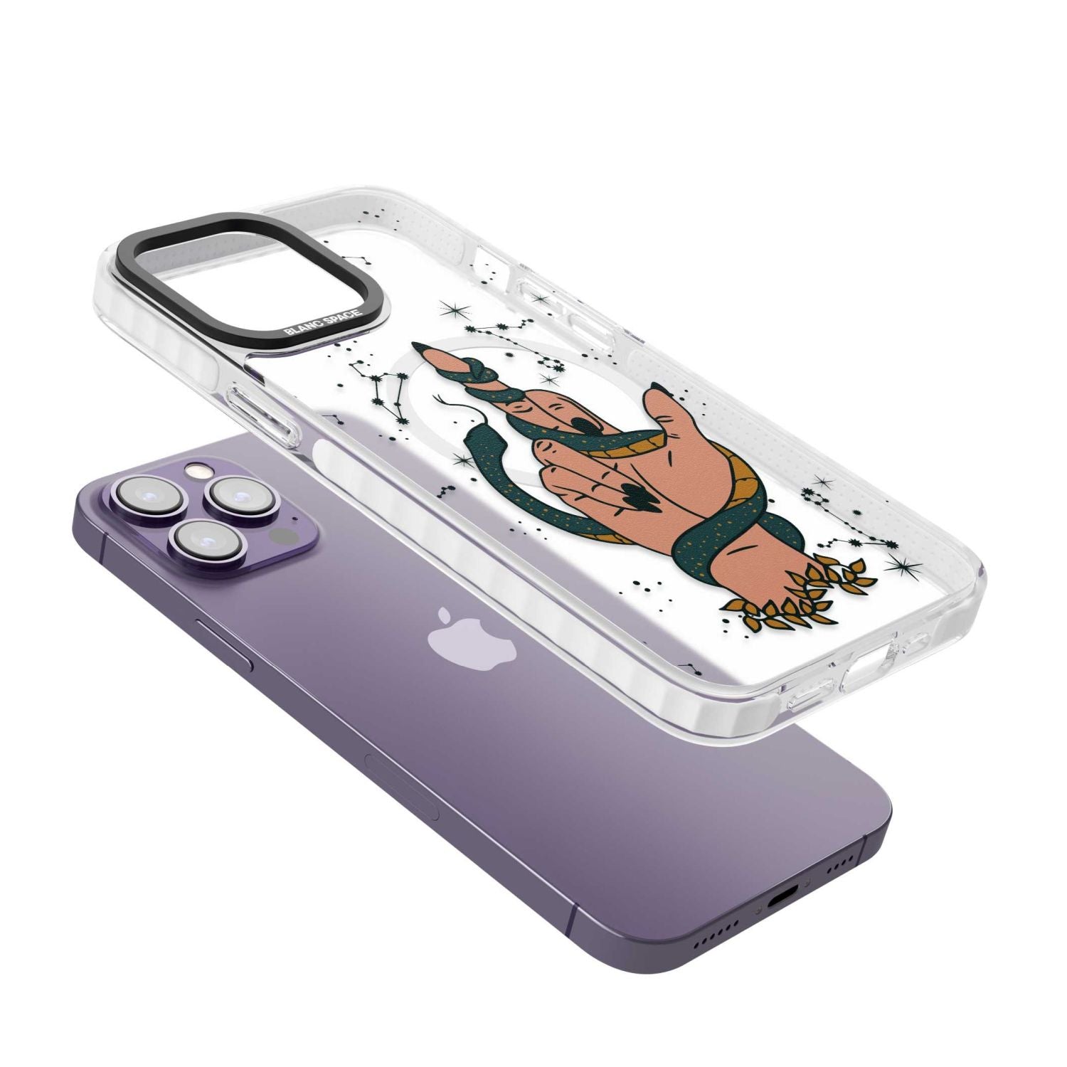 Snakes, Stars And Cynicism