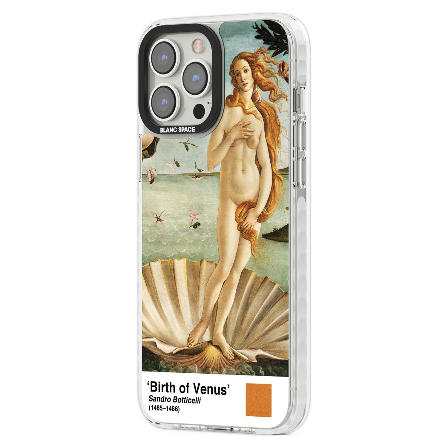 The Birth of VenusPhone Case for iPhone 14 Pro Max