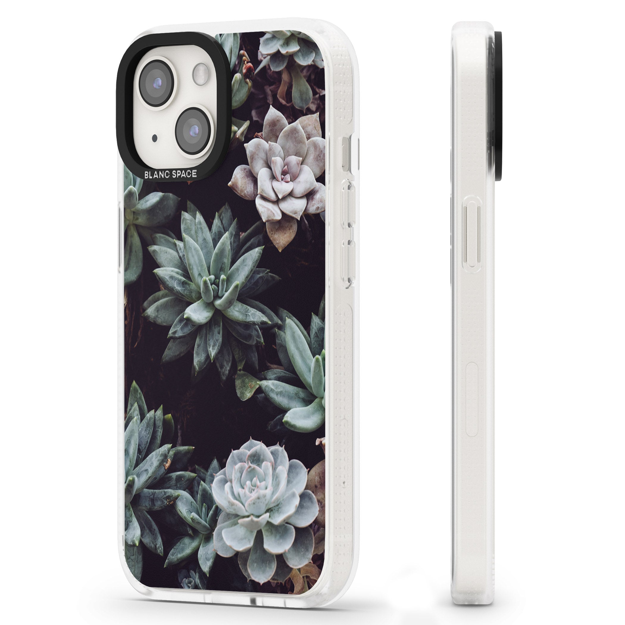 Mixed Succulents - Real Botanical Photographs iPhone 15 / 14 / 13 Clear Case Impact Air - Blanc Space