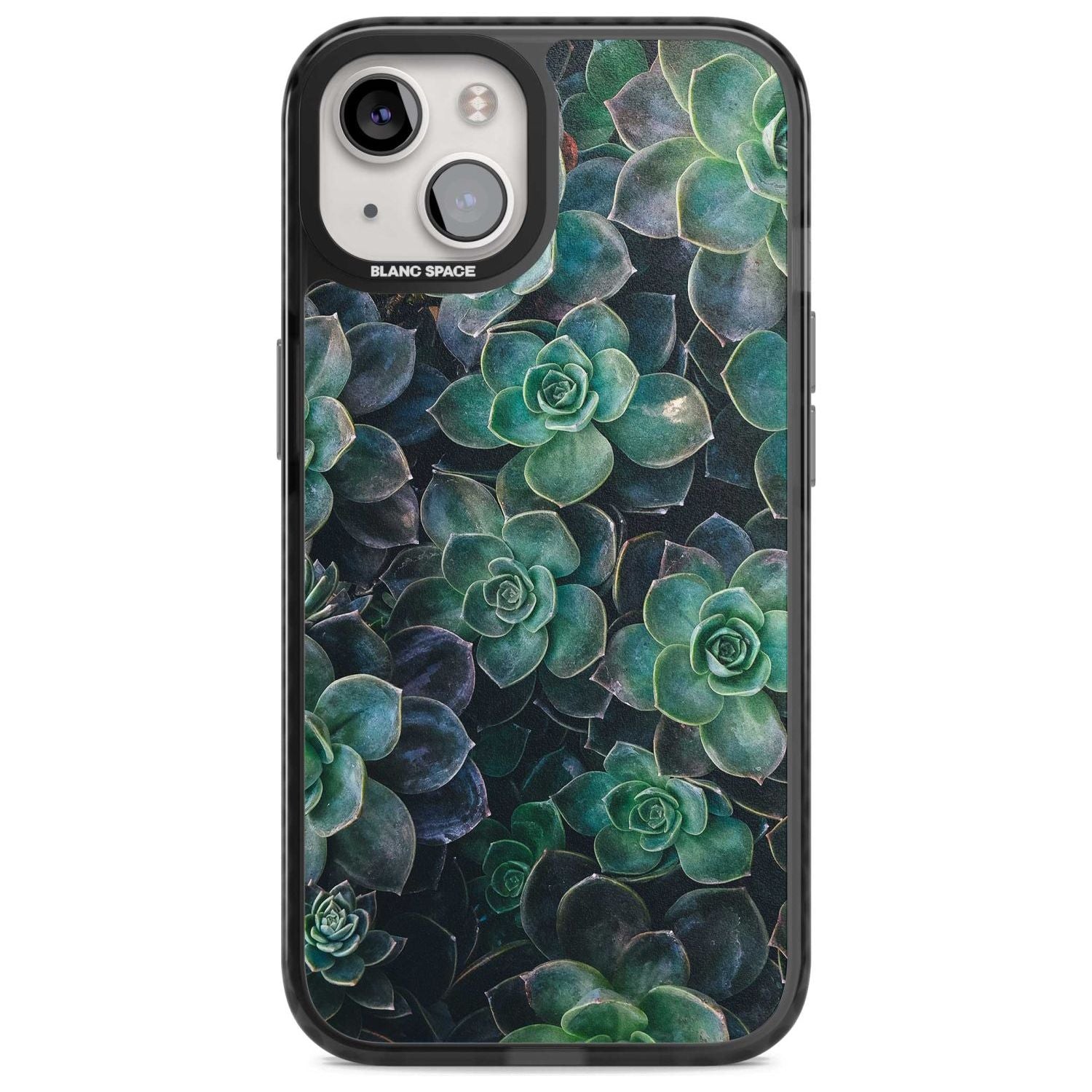 Succulent Bloom Botanical