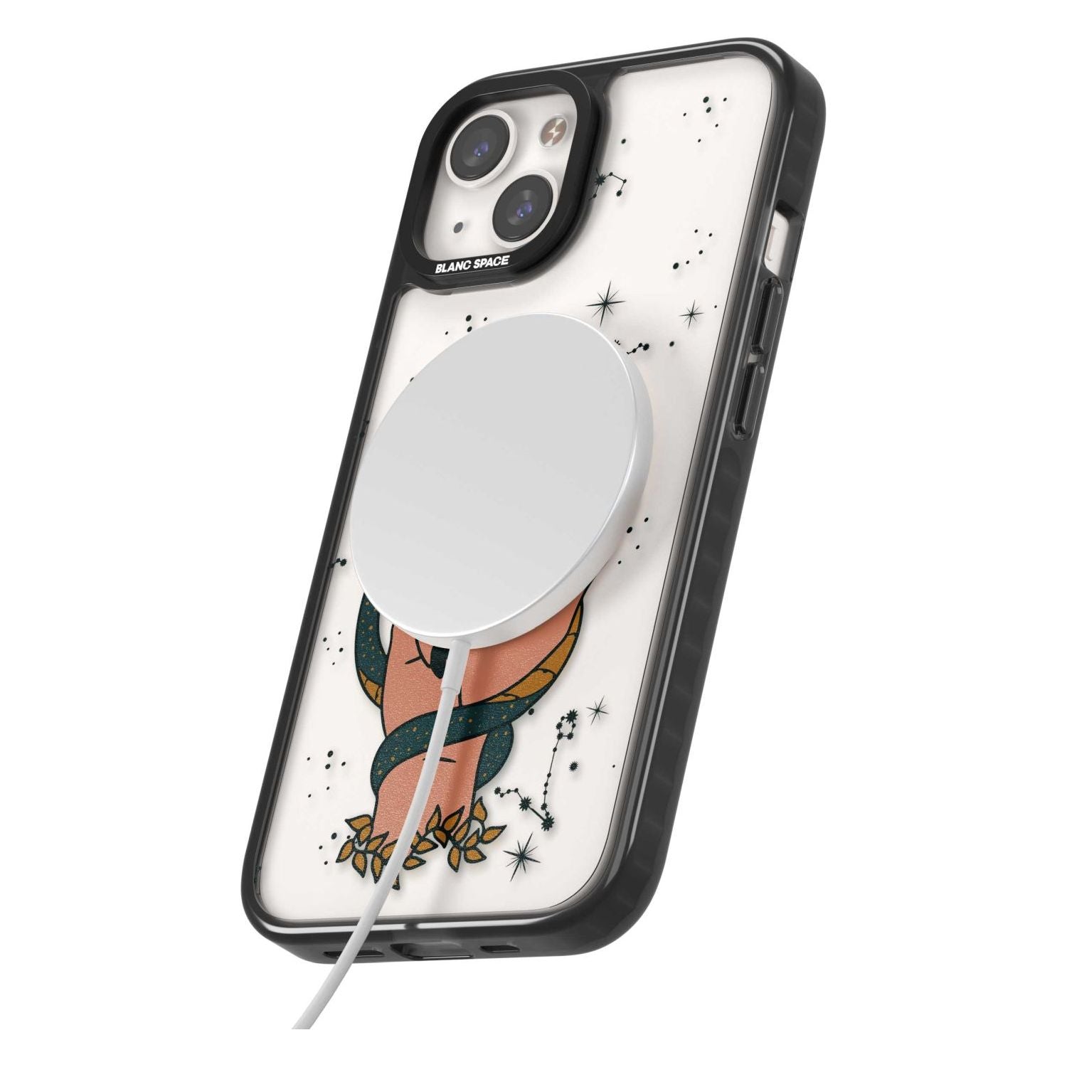 Snakes, Stars And Cynicism