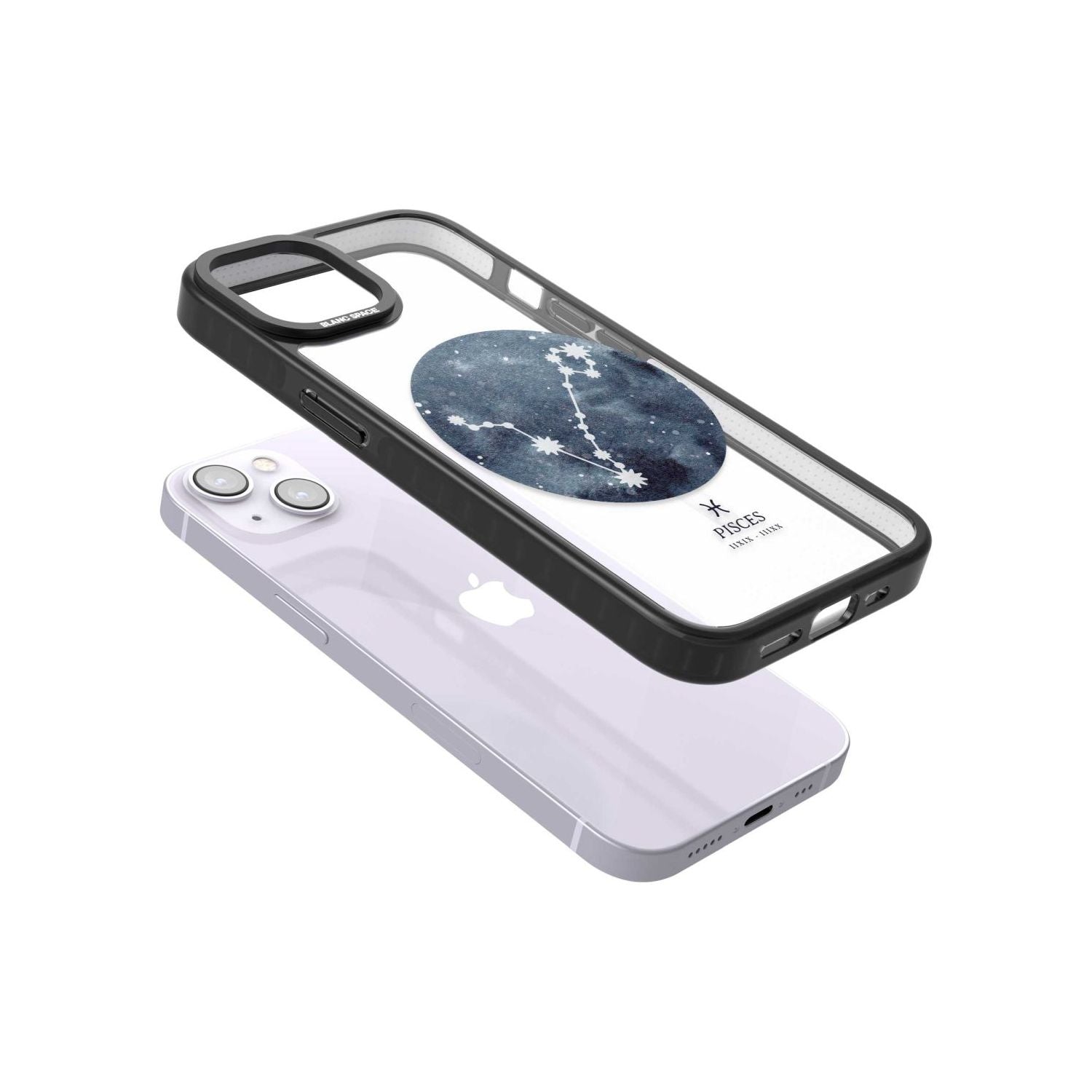 Pisces Zodiac Constellation