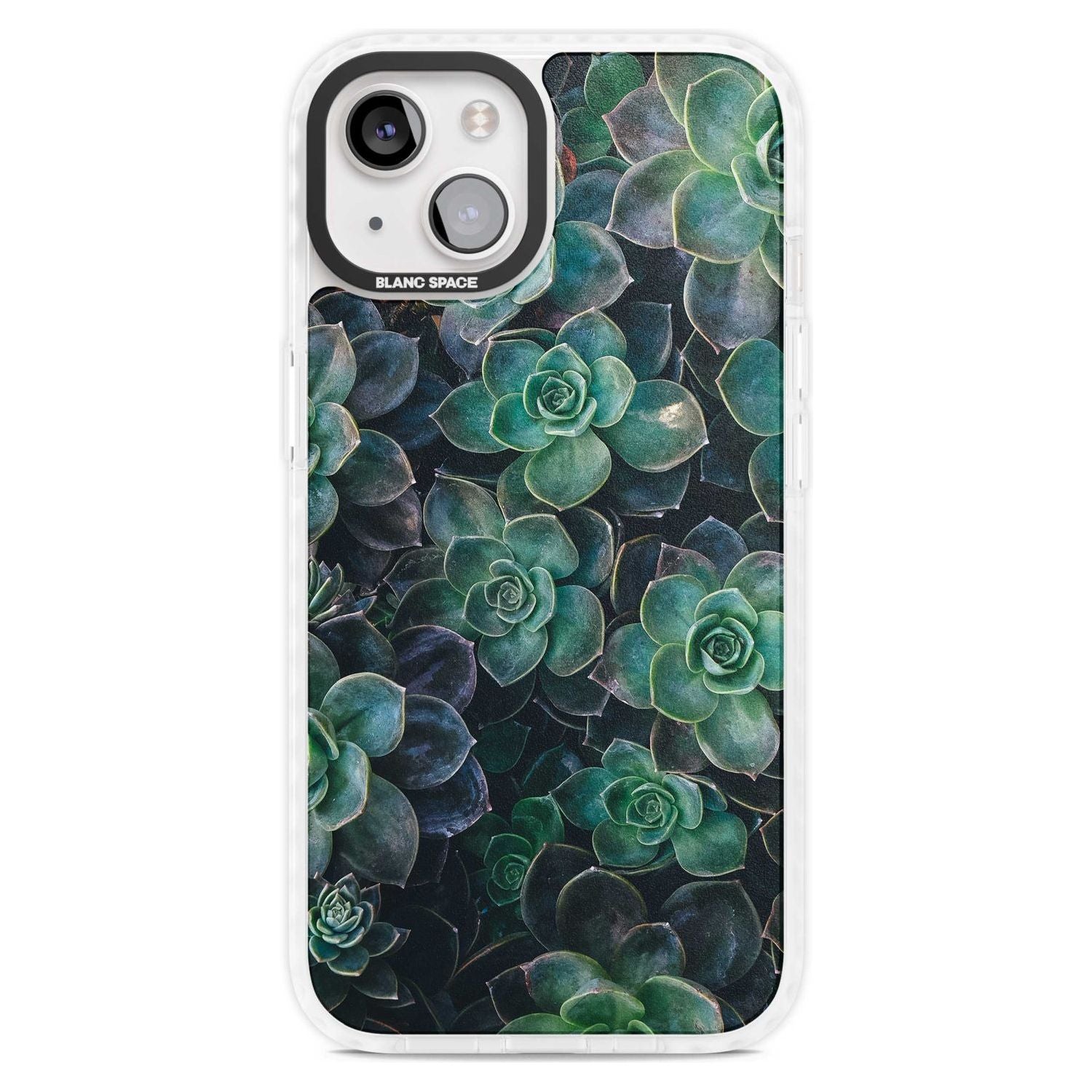 Succulent Bloom Botanical