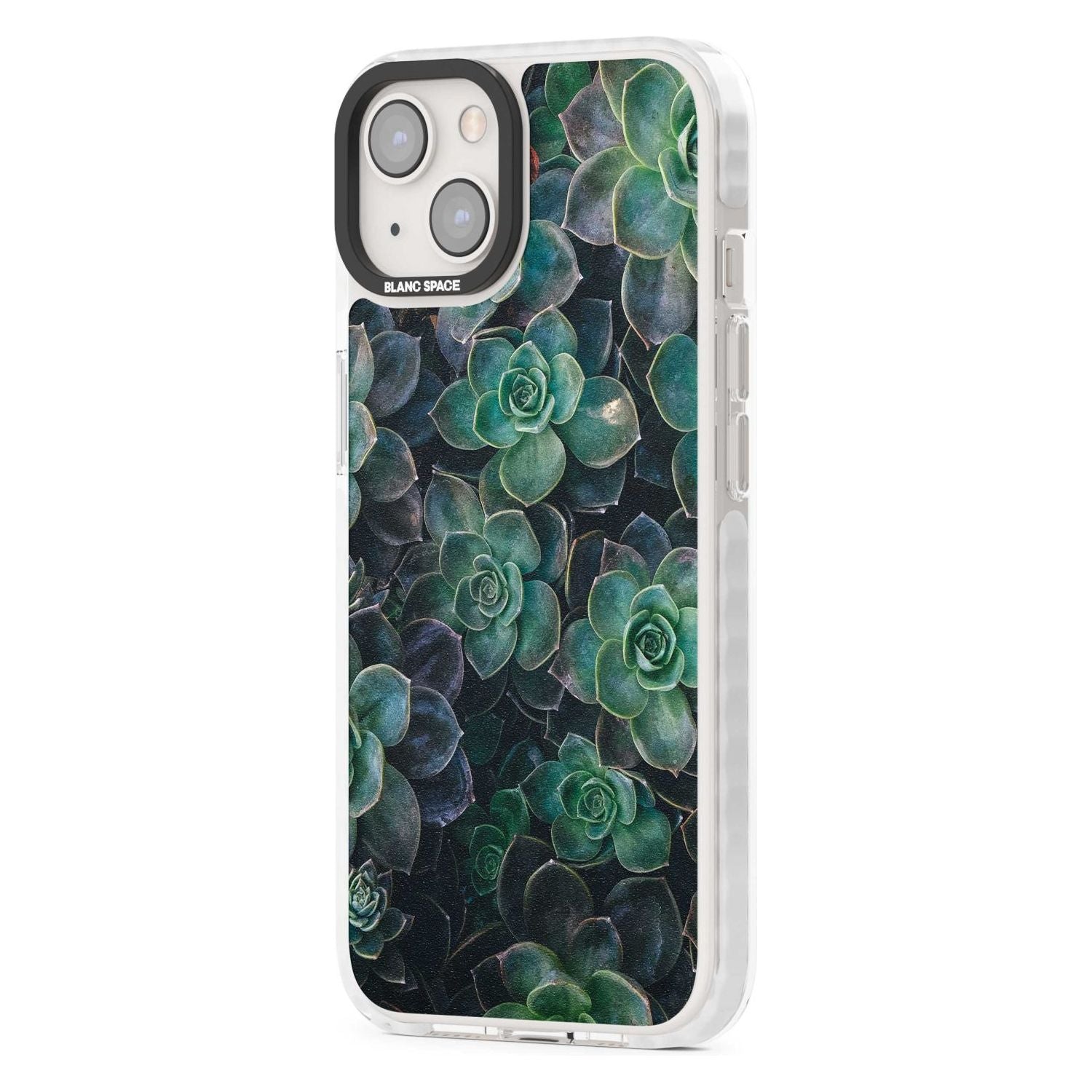 Succulent Bloom Botanical