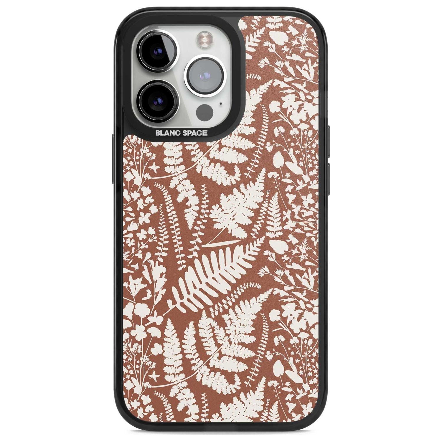 Wildflowers And Ferns On Terracotta