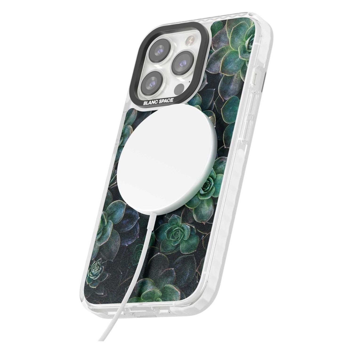 Succulent Bloom Botanical