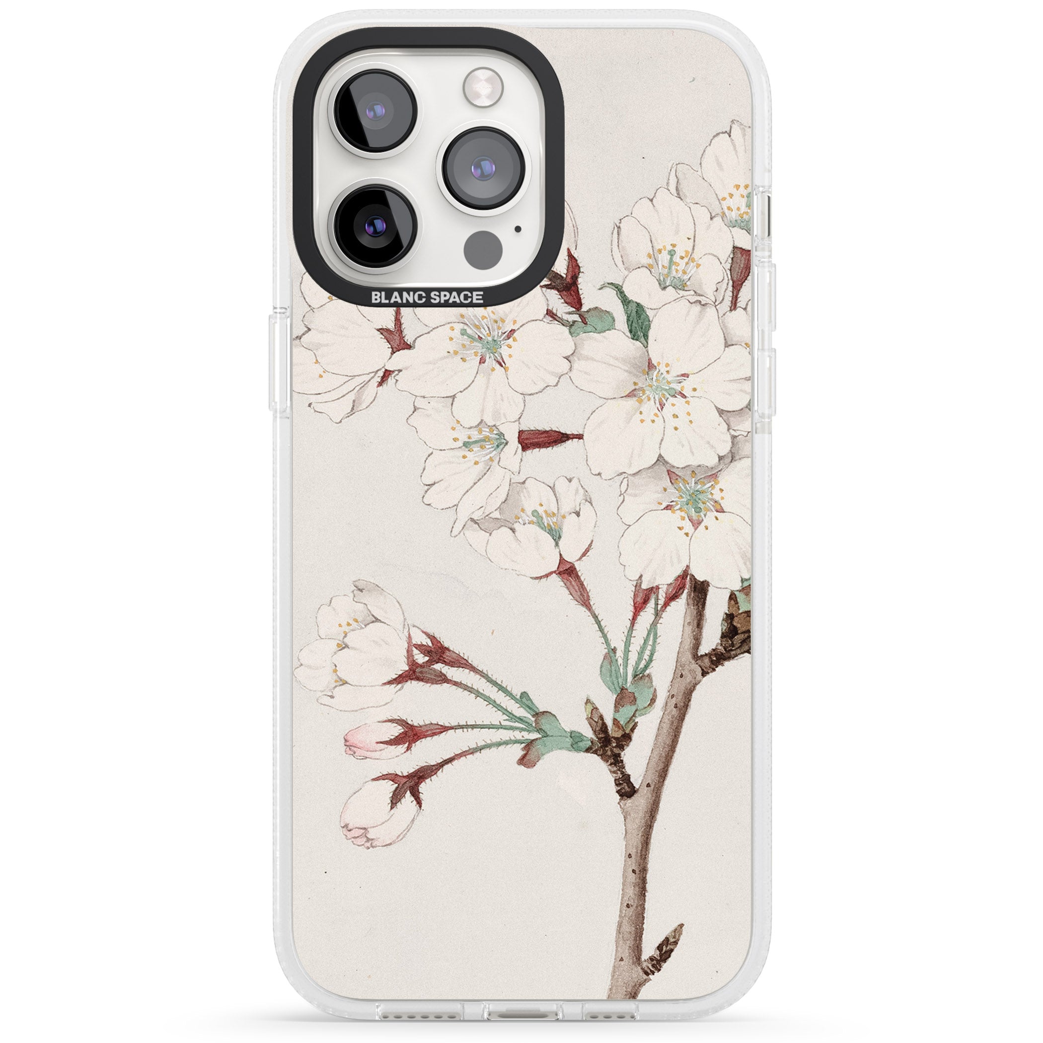 Vintage Japanese Illustrations Cherry Blossoms iPhone 15 Pro Max / 15 Pro / 14 Pro Max / 14 Pro / 13 Pro Clear Case Impact Air - Blanc Space