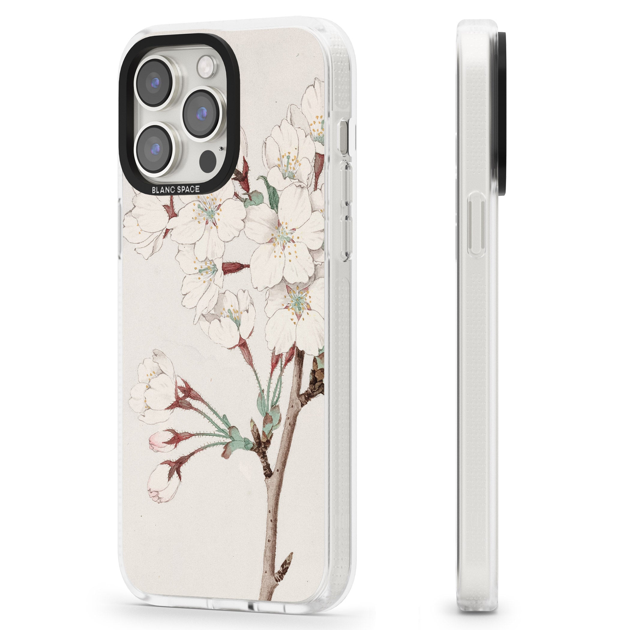 Vintage Japanese Illustrations Cherry Blossoms iPhone 15 Pro Max / 15 Pro / 14 Pro Max / 14 Pro / 13 Pro Clear Case Impact Air - Blanc Space