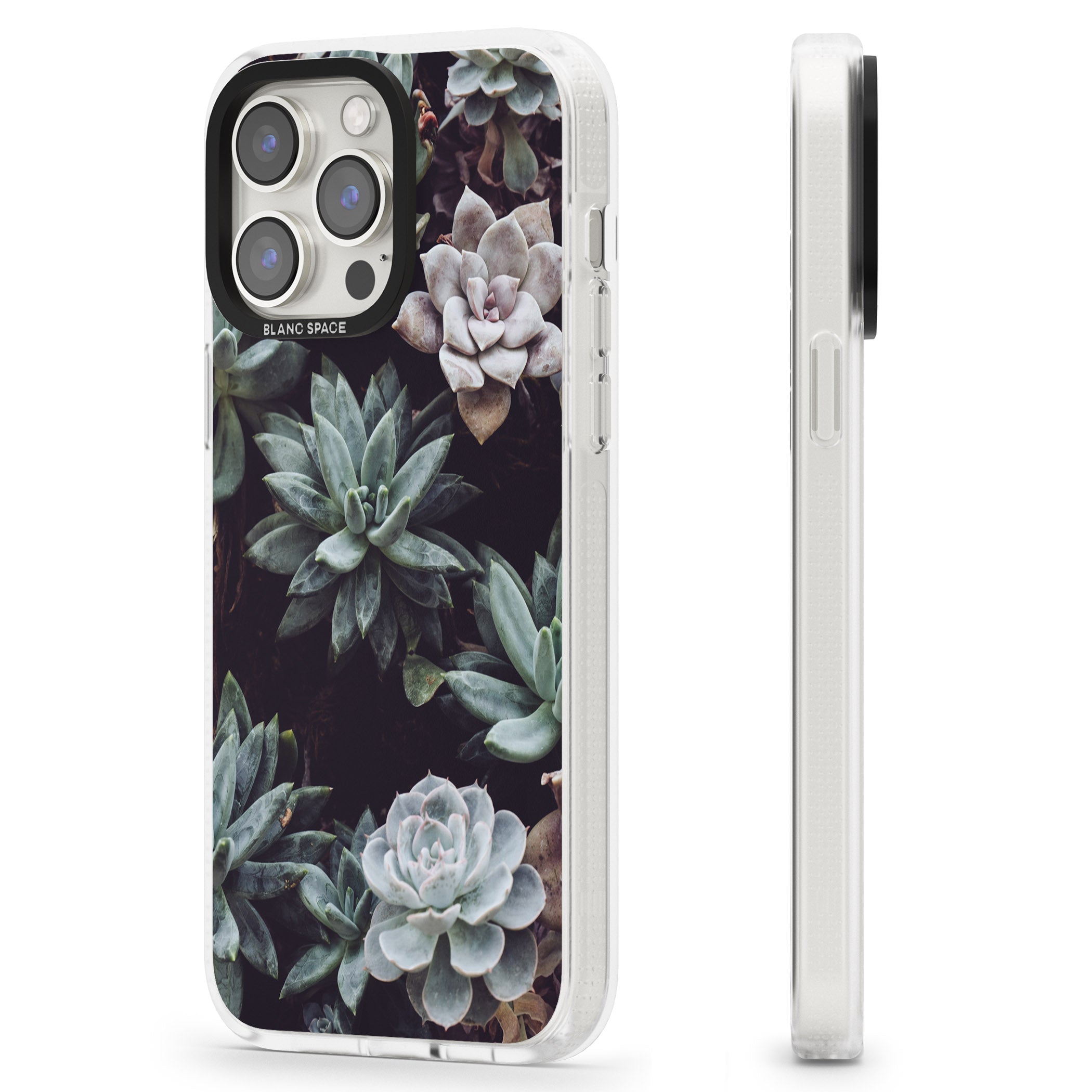 Mixed Succulents - Real Botanical Photographs iPhone 15 Pro Max / 15 Pro / 14 Pro Max / 14 Pro / 13 Pro Clear Case Impact Air - Blanc Space