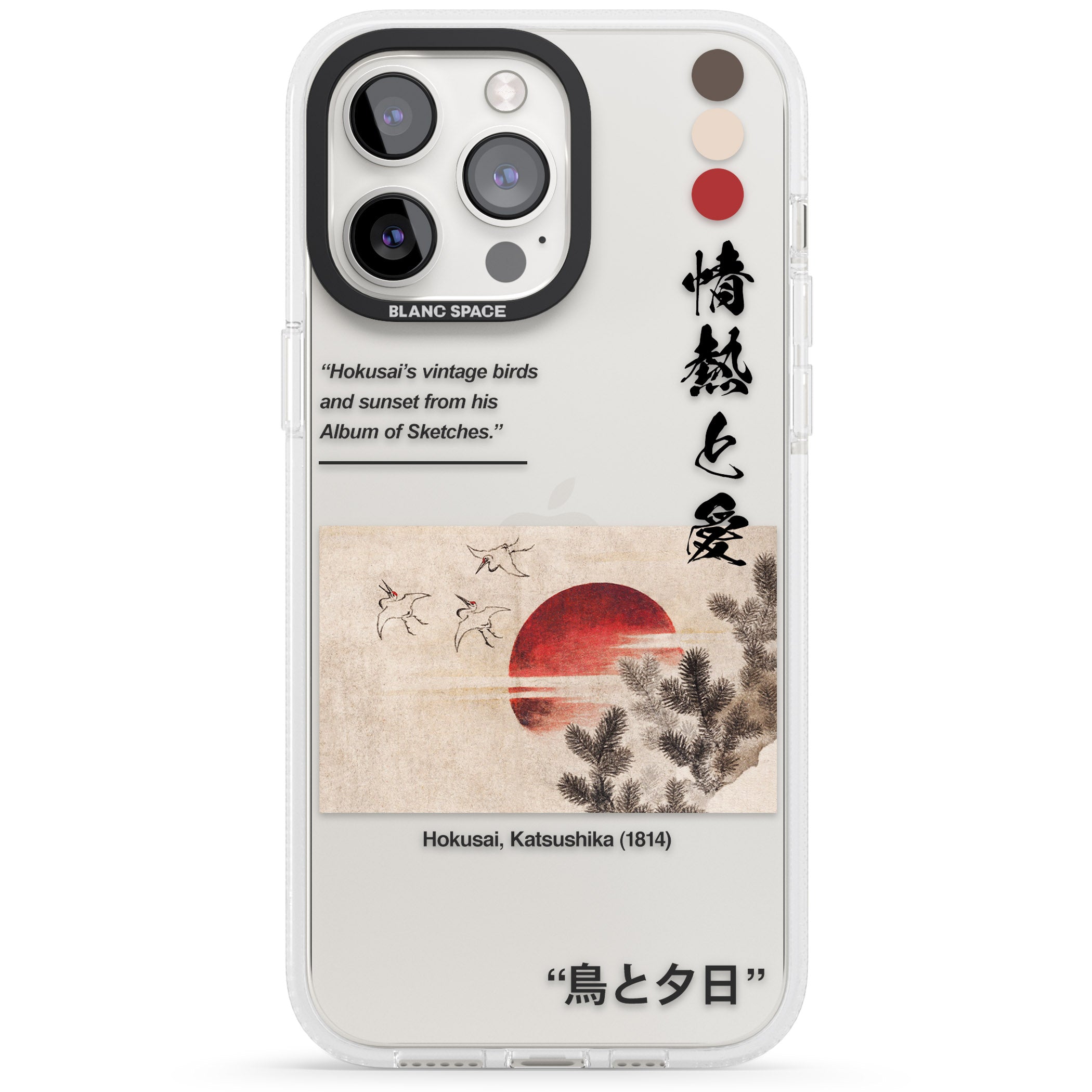 Birds and Sunset iPhone 15 Pro Max / 15 Pro / 14 Pro Max / 14 Pro / 13 Pro Clear Case Impact Air - Blanc Space