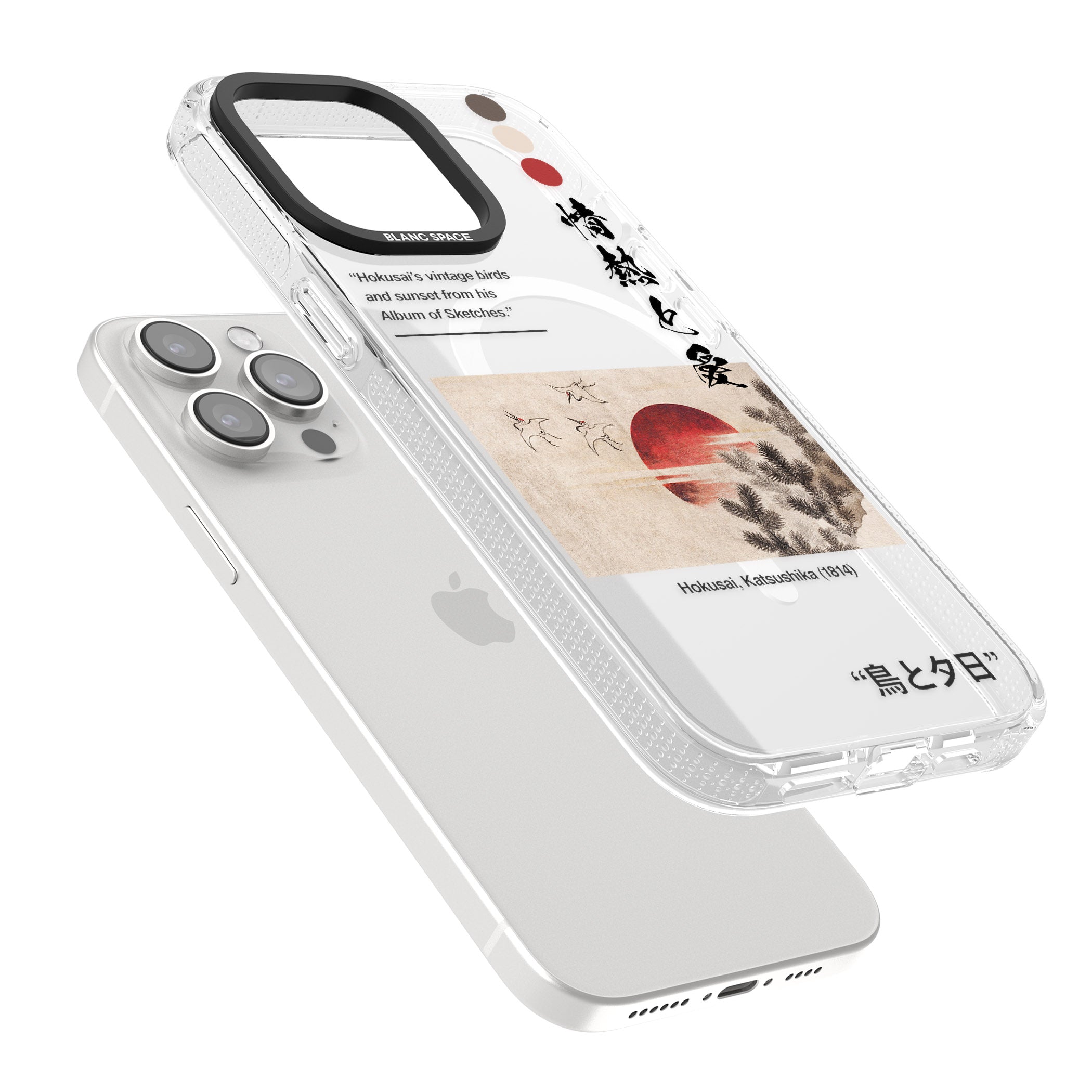 Birds and Sunset iPhone 15 Pro Max / 15 Pro / 14 Pro Max / 14 Pro / 13 Pro Clear Case Impact Air - Blanc Space