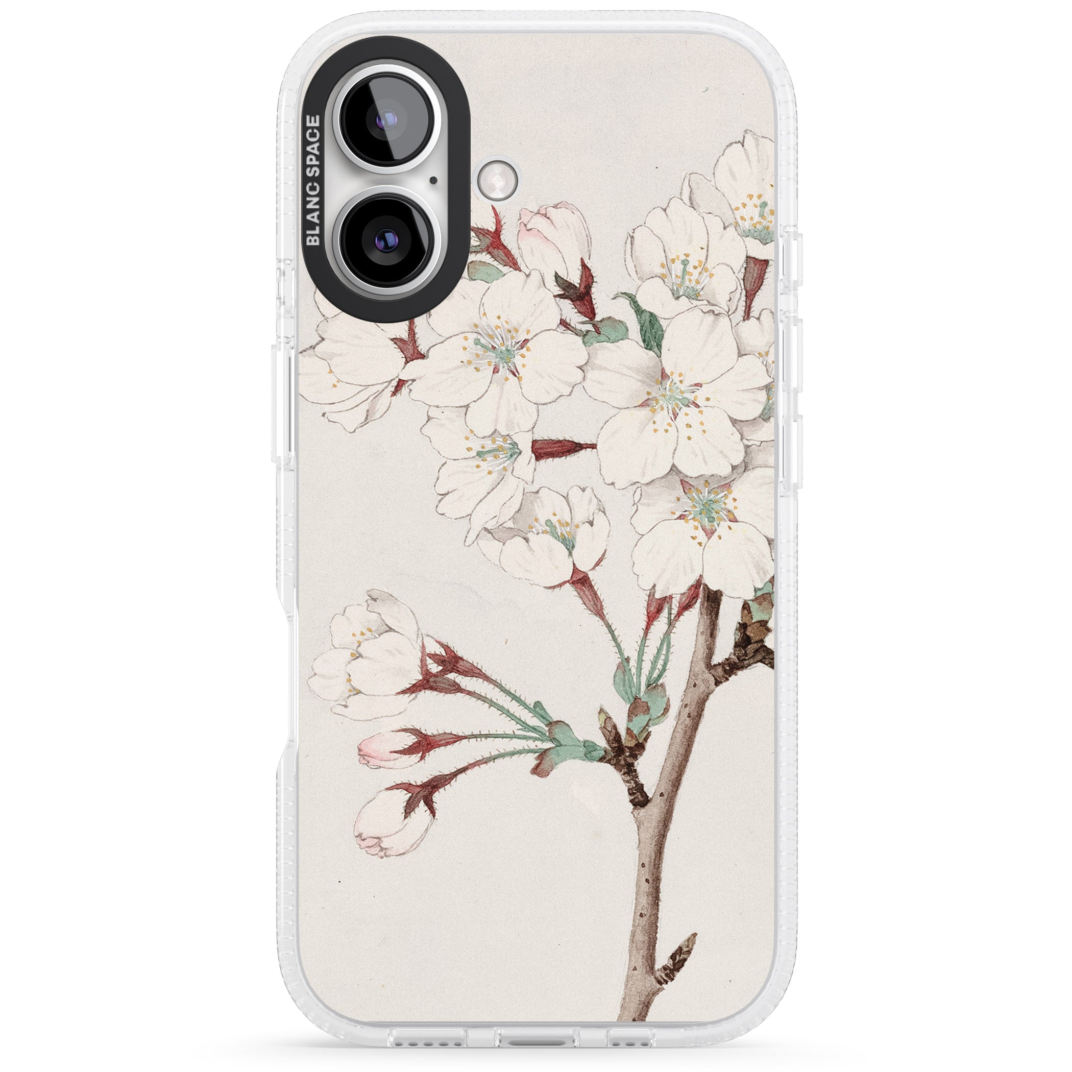 Vintage Japanese Illustrations Cherry Blossoms iPhone 16 / 16 Plus Clear Case Impact Air - Blanc Space