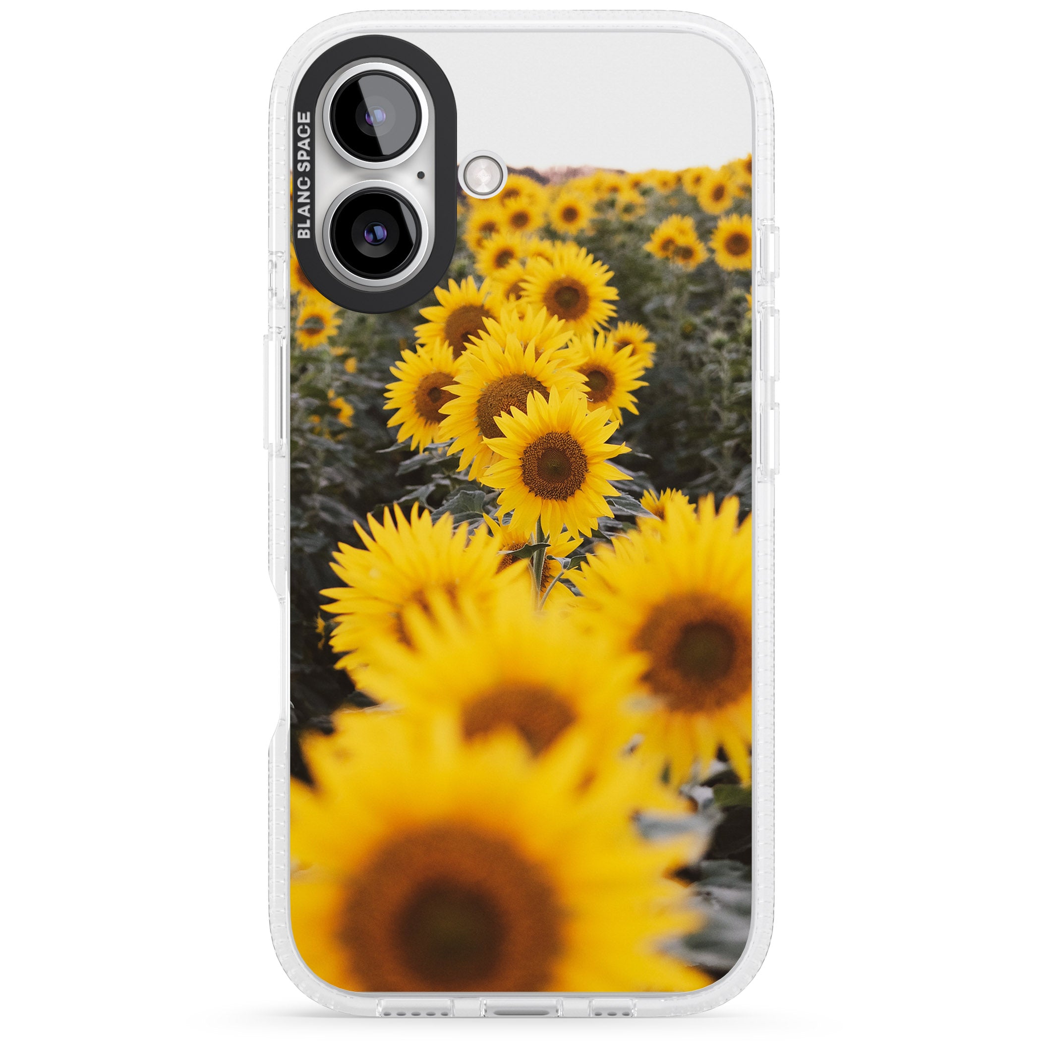 Sunflower Field Photograph iPhone 16 / 16 Plus Clear Case Impact Air - Blanc Space