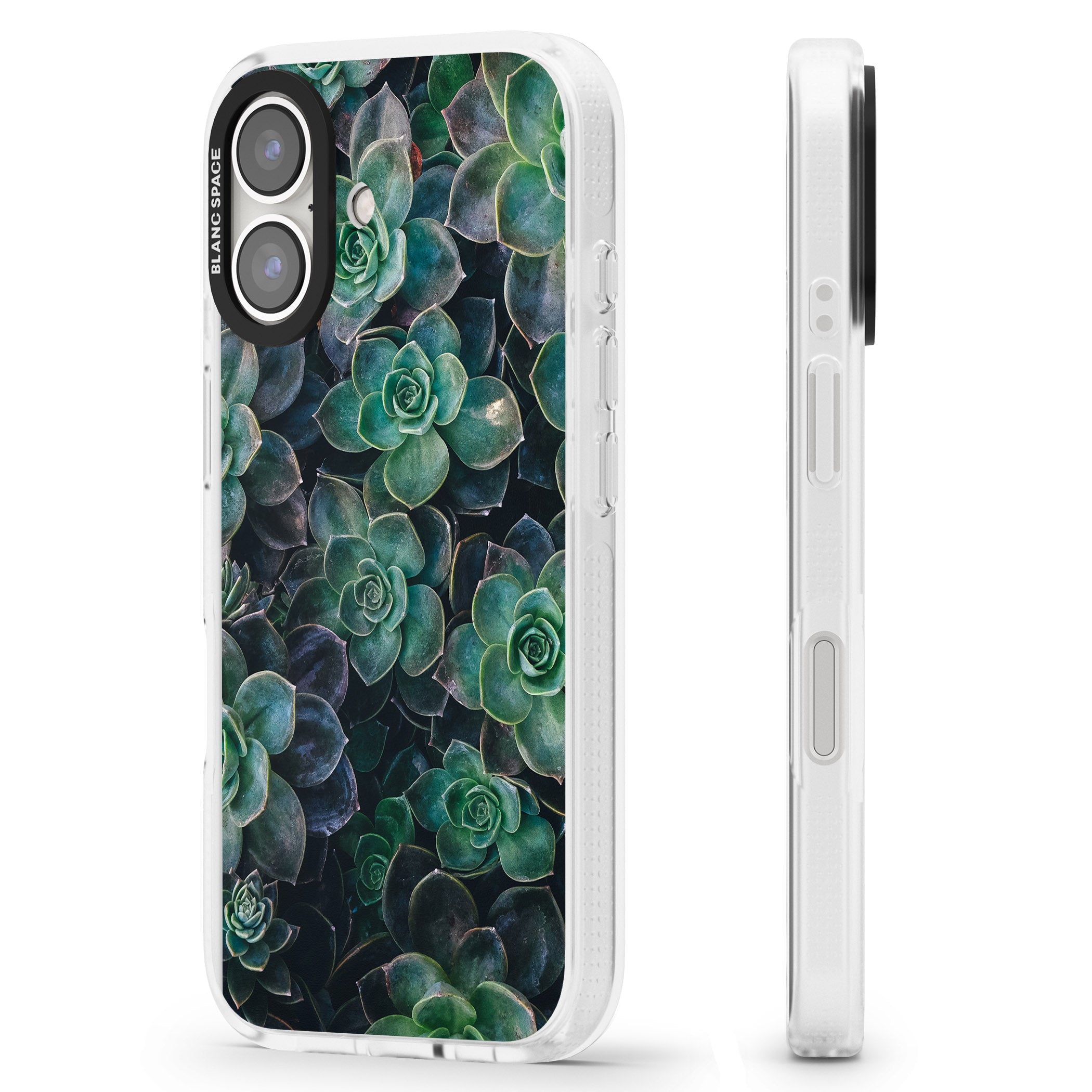 Succulents - Real Botanical Photographs iPhone 16 / 16 Plus Clear Case Impact Air - Blanc Space