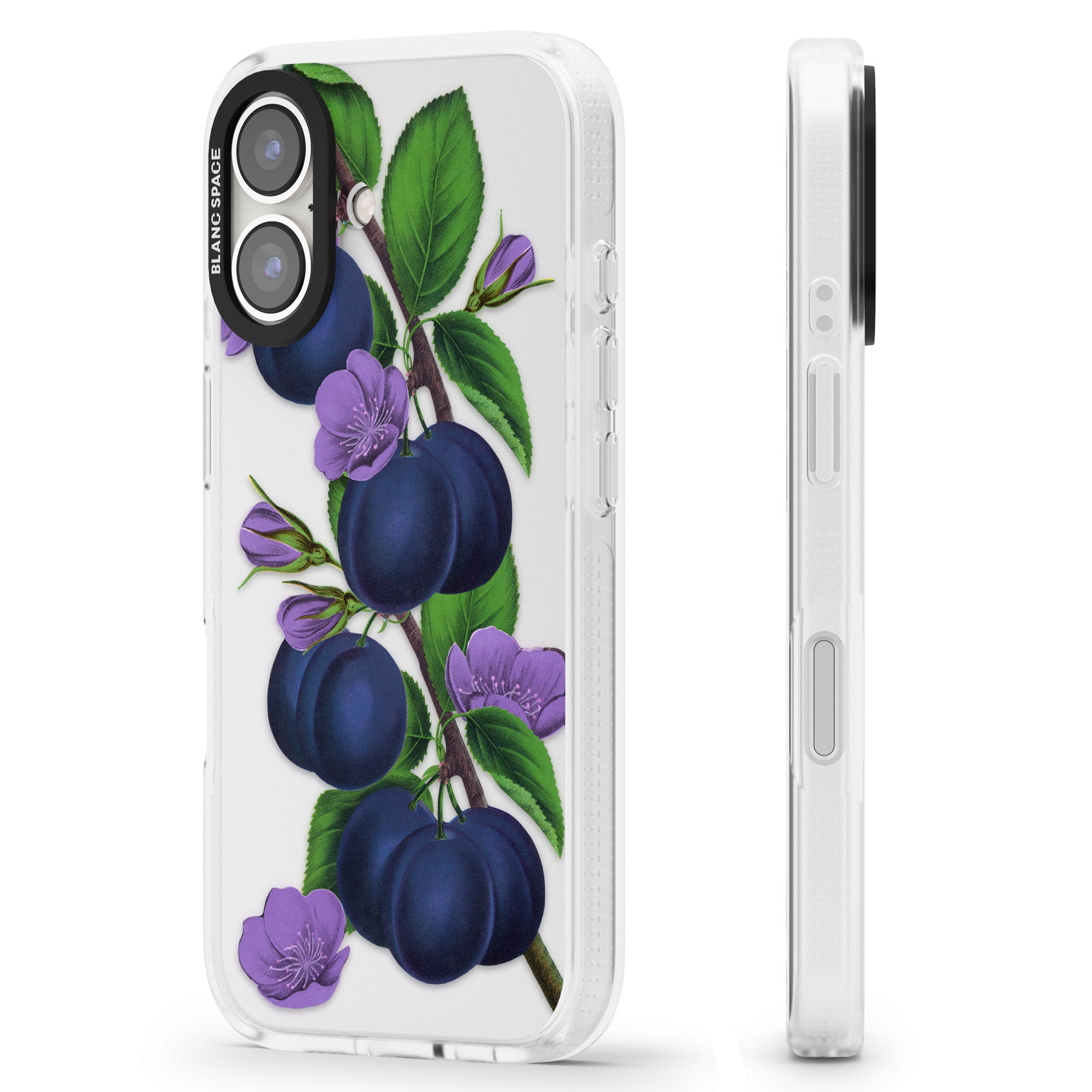 Vintage Painted Plums iPhone 16 / 16 Plus Clear Case Impact Air - Blanc Space