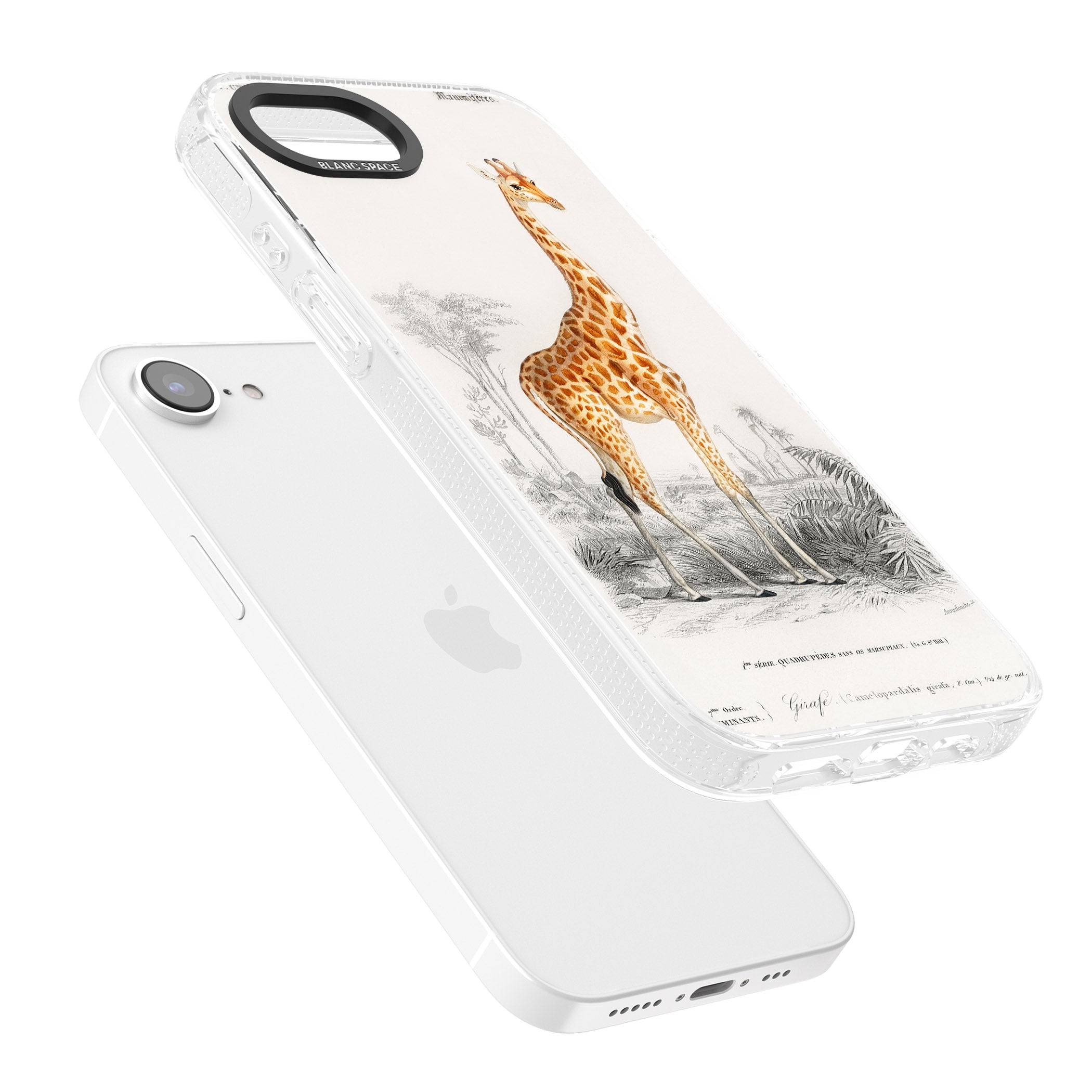 Vintage Giraffe Art iPhone 16e Clear Case Impact Air - Blanc Space
