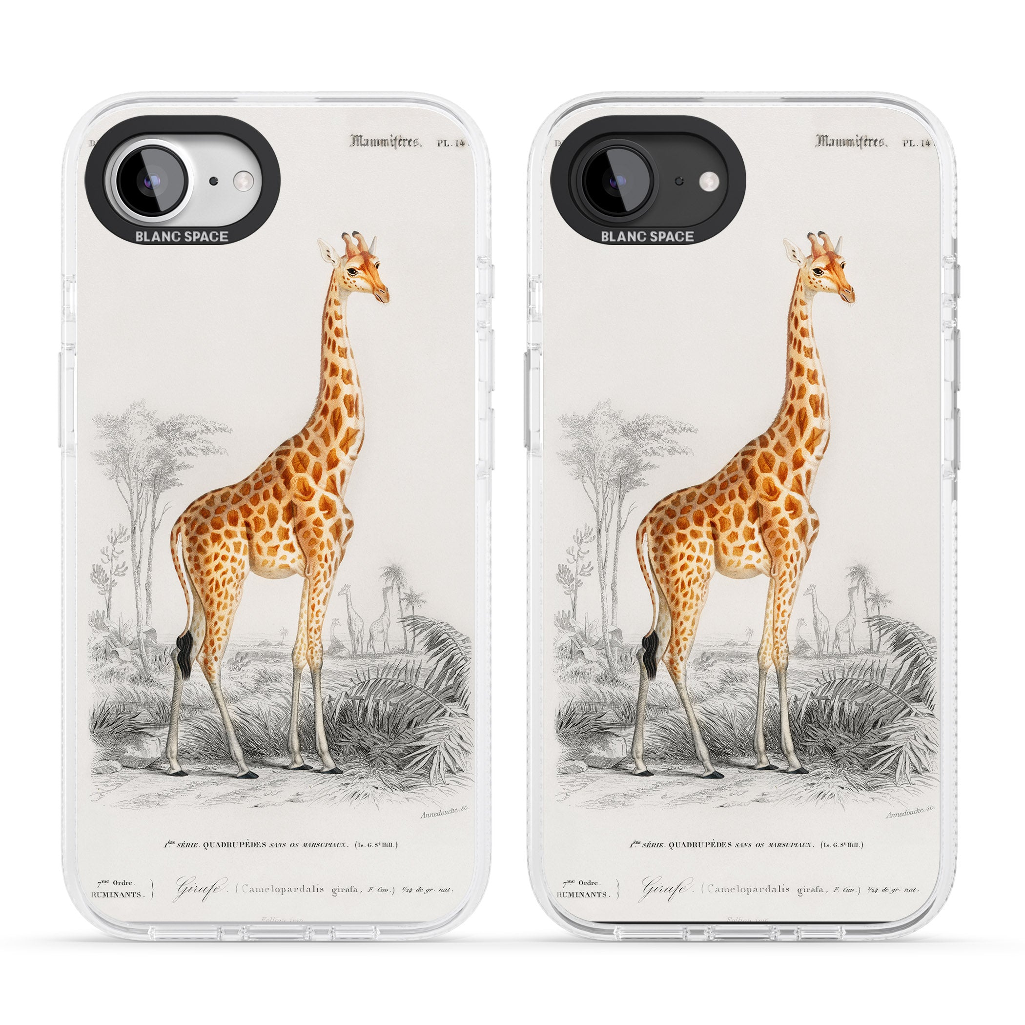 Vintage Giraffe Art iPhone 16e Clear Case Impact Air - Blanc Space