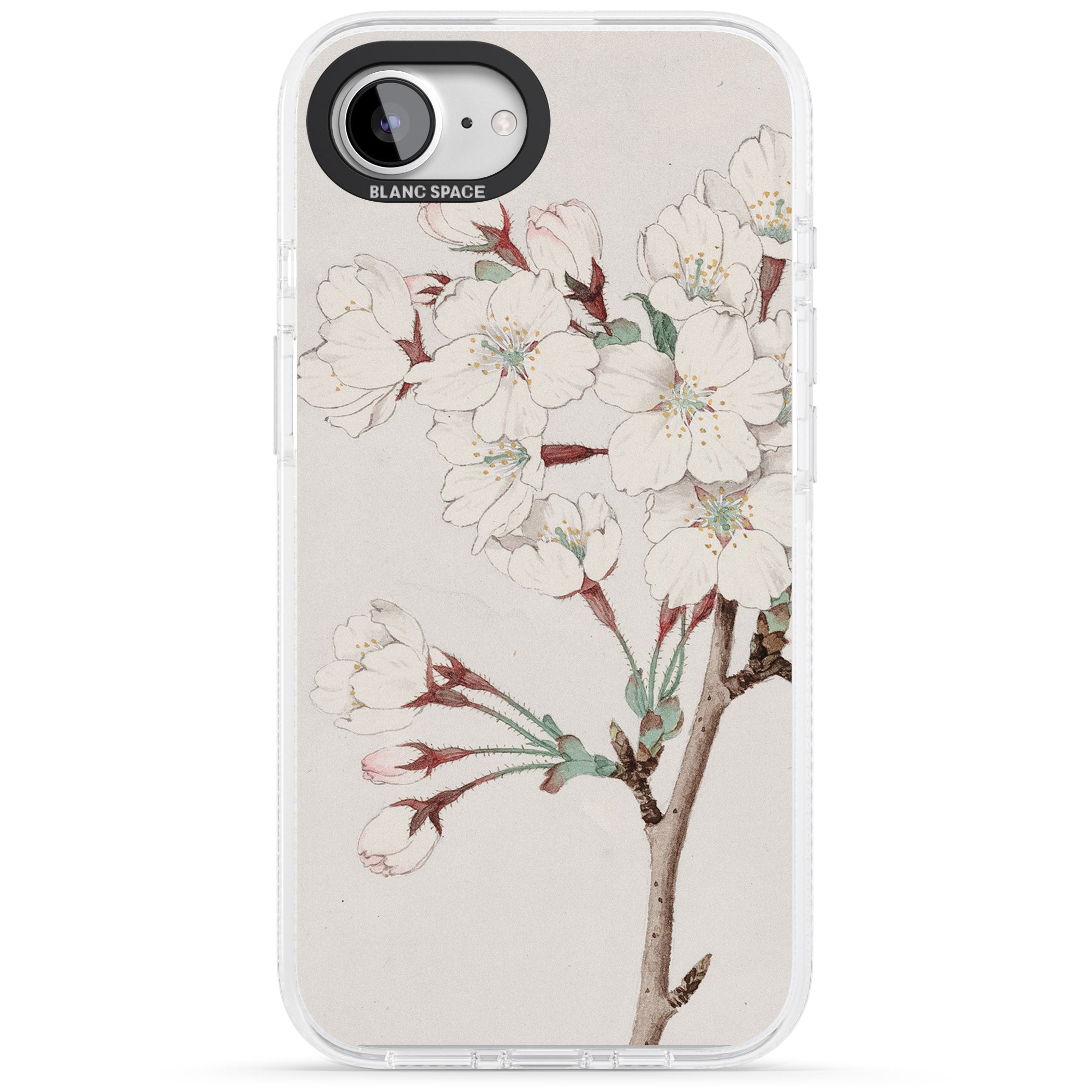Vintage Japanese Illustrations Cherry Blossoms iPhone 16e Clear Case Impact Air - Blanc Space
