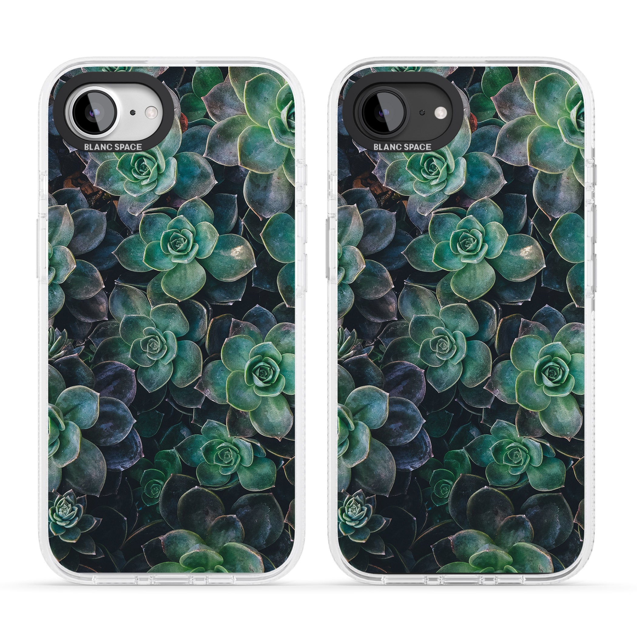 Succulents - Real Botanical Photographs iPhone 16e Clear Case Impact Air - Blanc Space