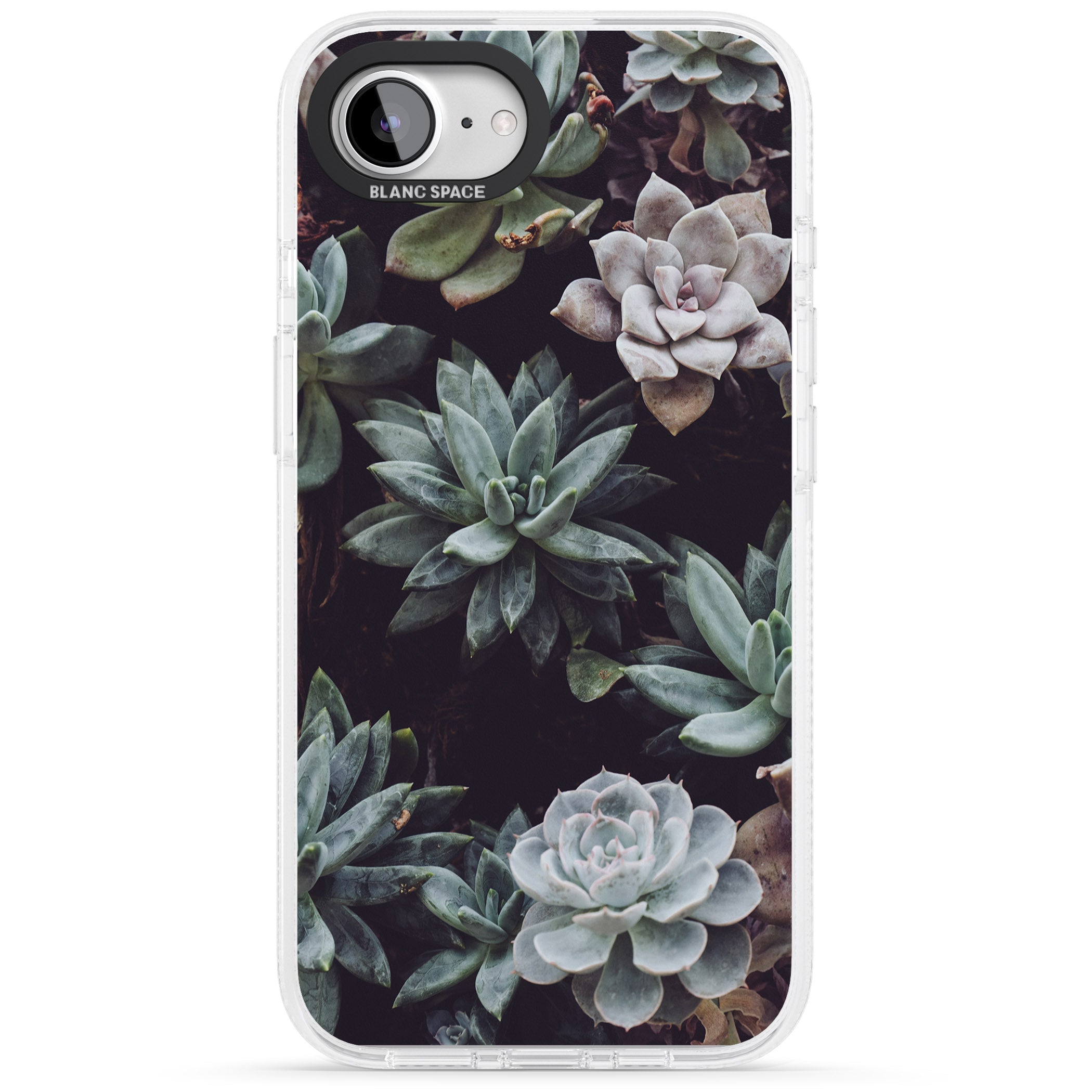 Mixed Succulents - Real Botanical Photographs iPhone 16e Clear Case Impact Air - Blanc Space