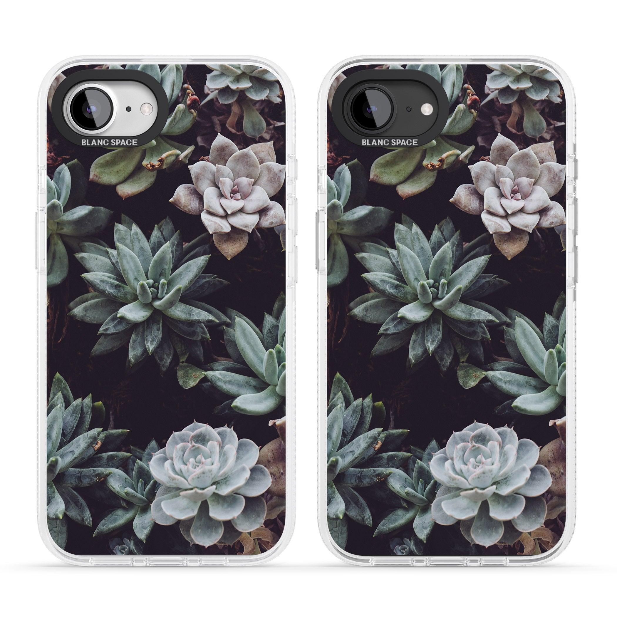 Mixed Succulents - Real Botanical Photographs iPhone 16e Clear Case Impact Air - Blanc Space