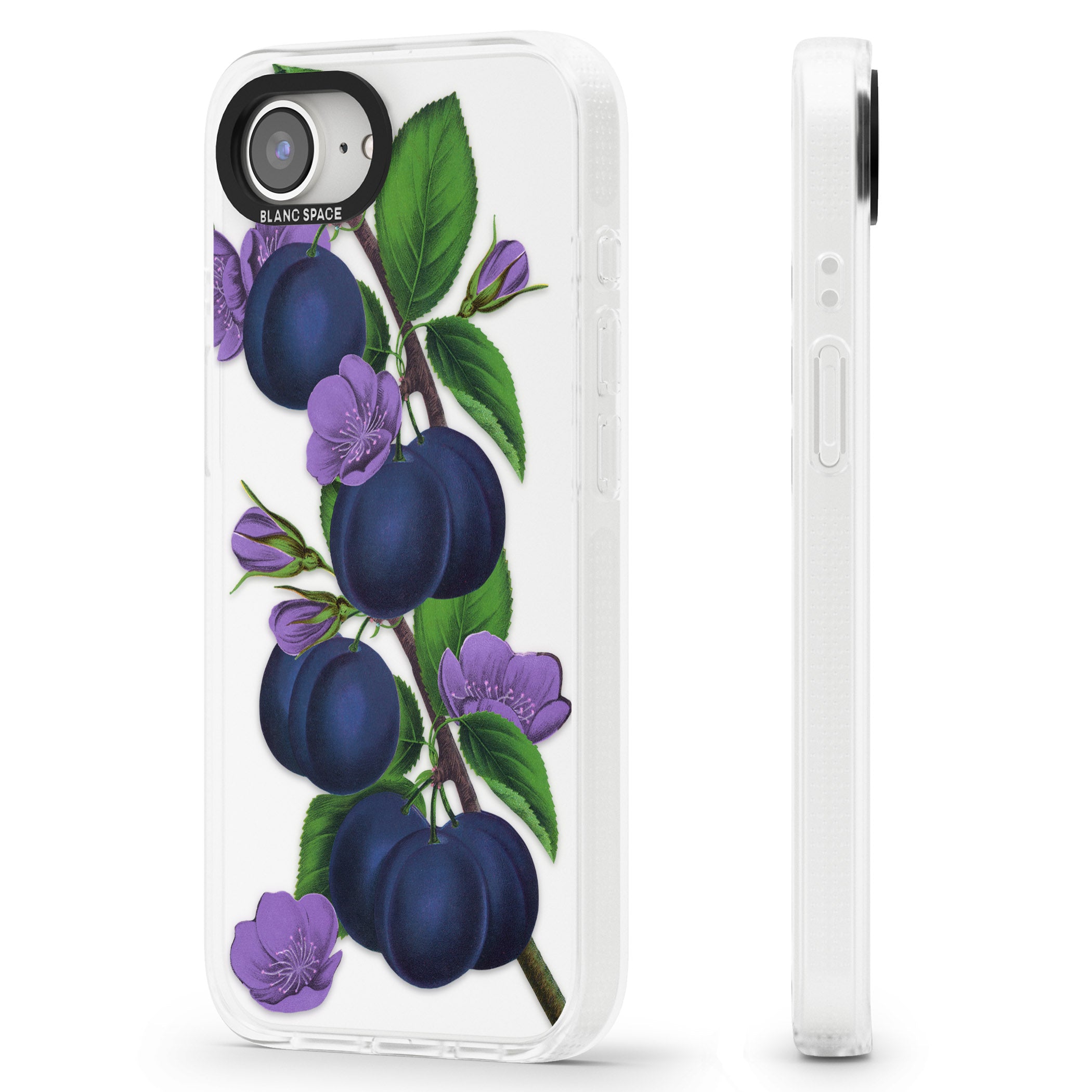 Vintage Painted Plums iPhone 16e Clear Case Impact Air - Blanc Space