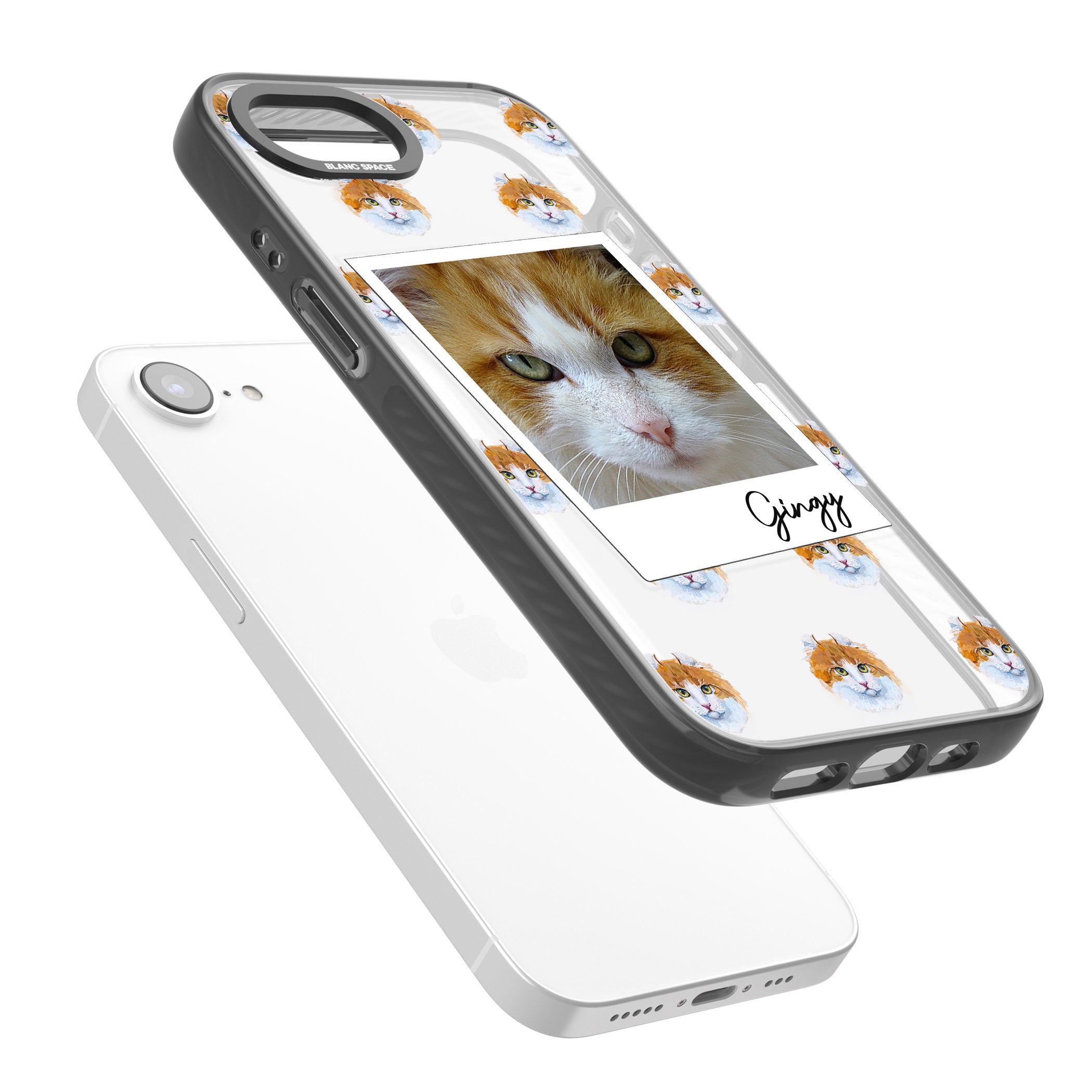 Personalised American Curl Photo