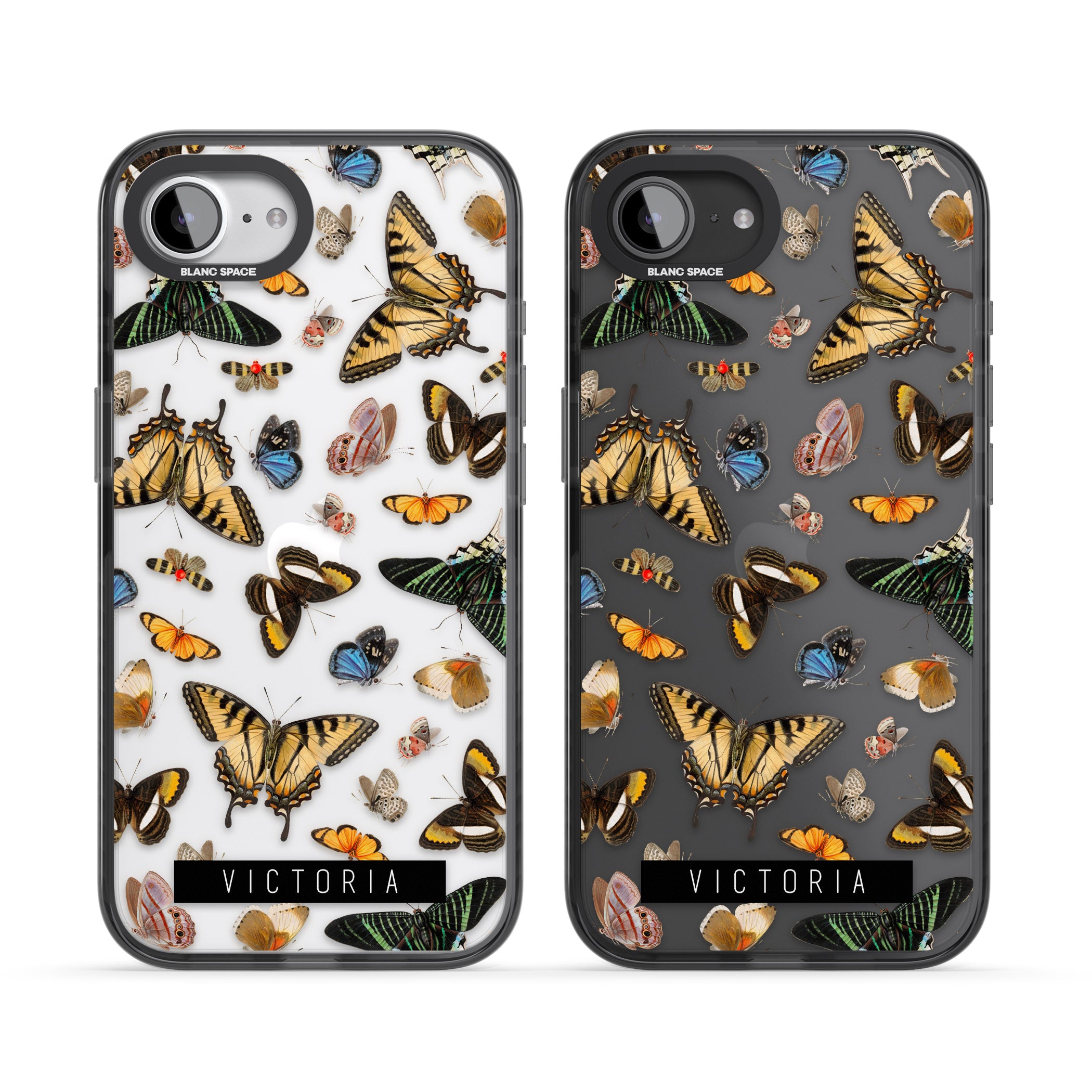 Personalised Butterfly Archive