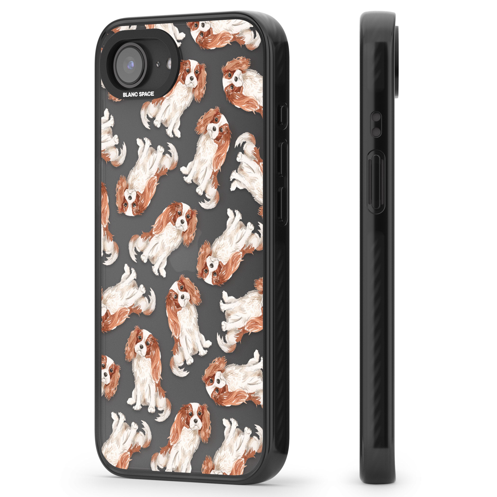 Cavalier King Charles Spaniel