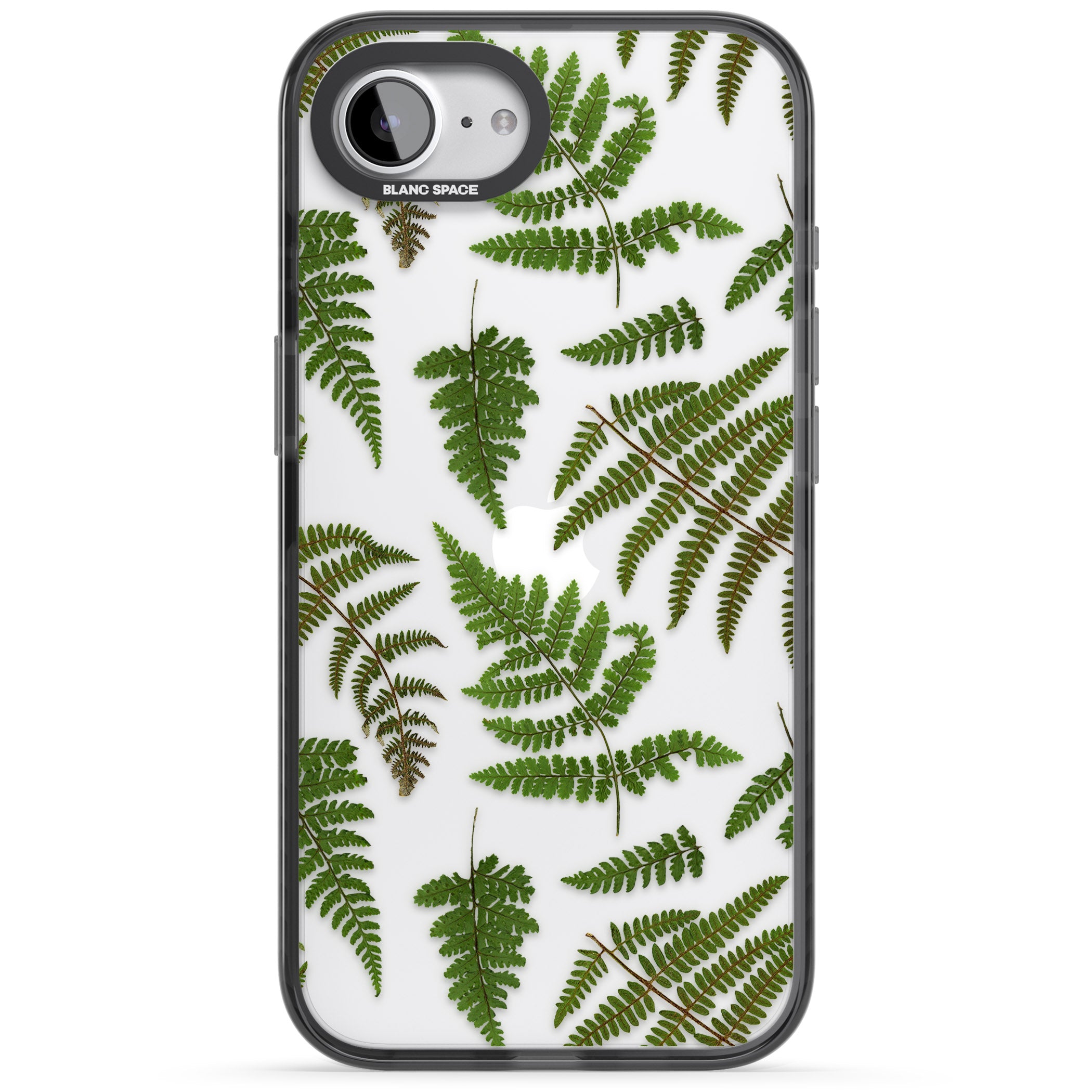 Leafy Ferns