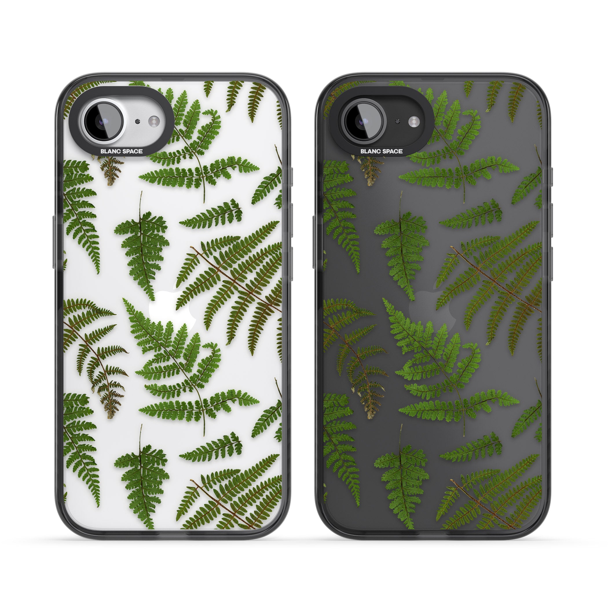Leafy Ferns