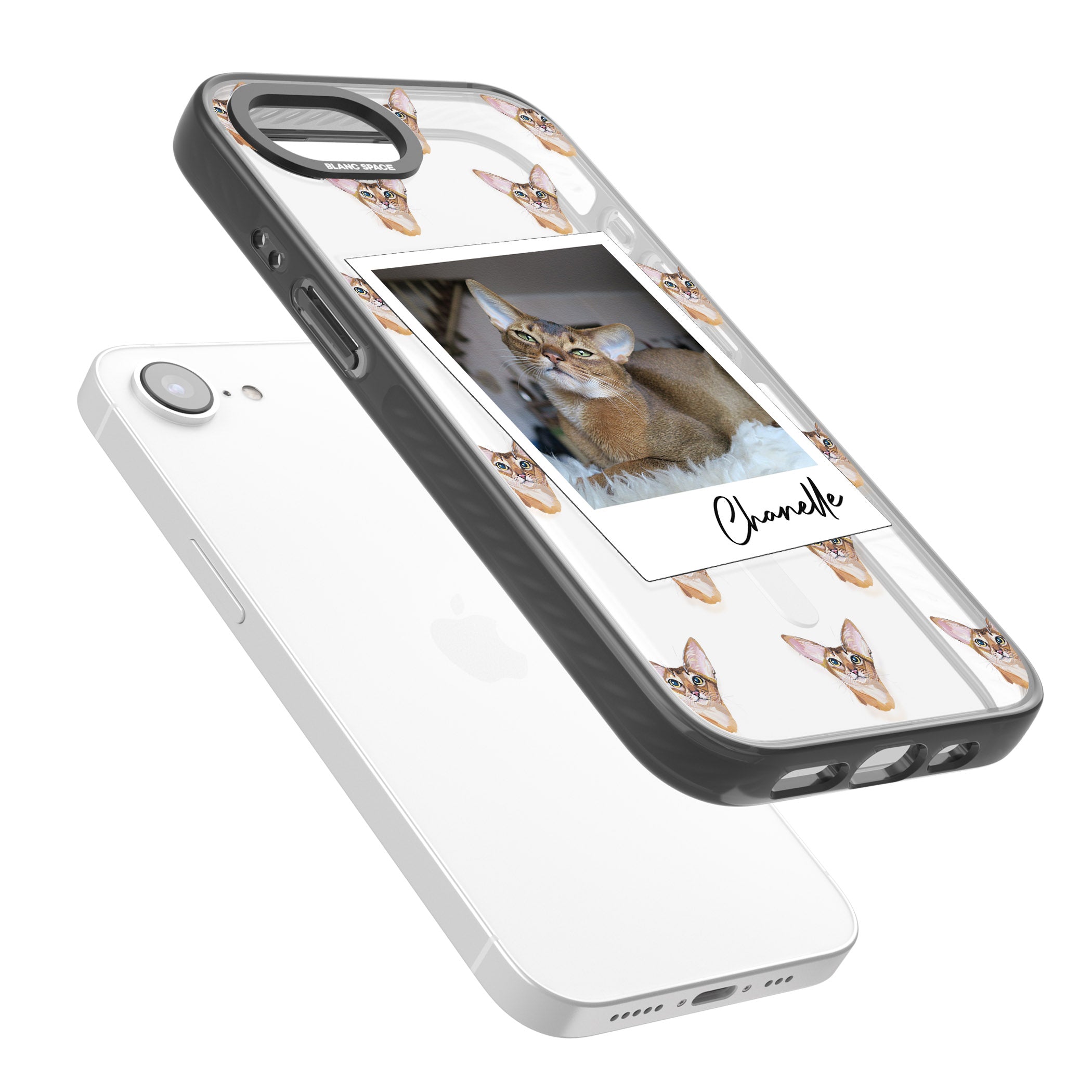 Personalised Abyssinian Cat Photo